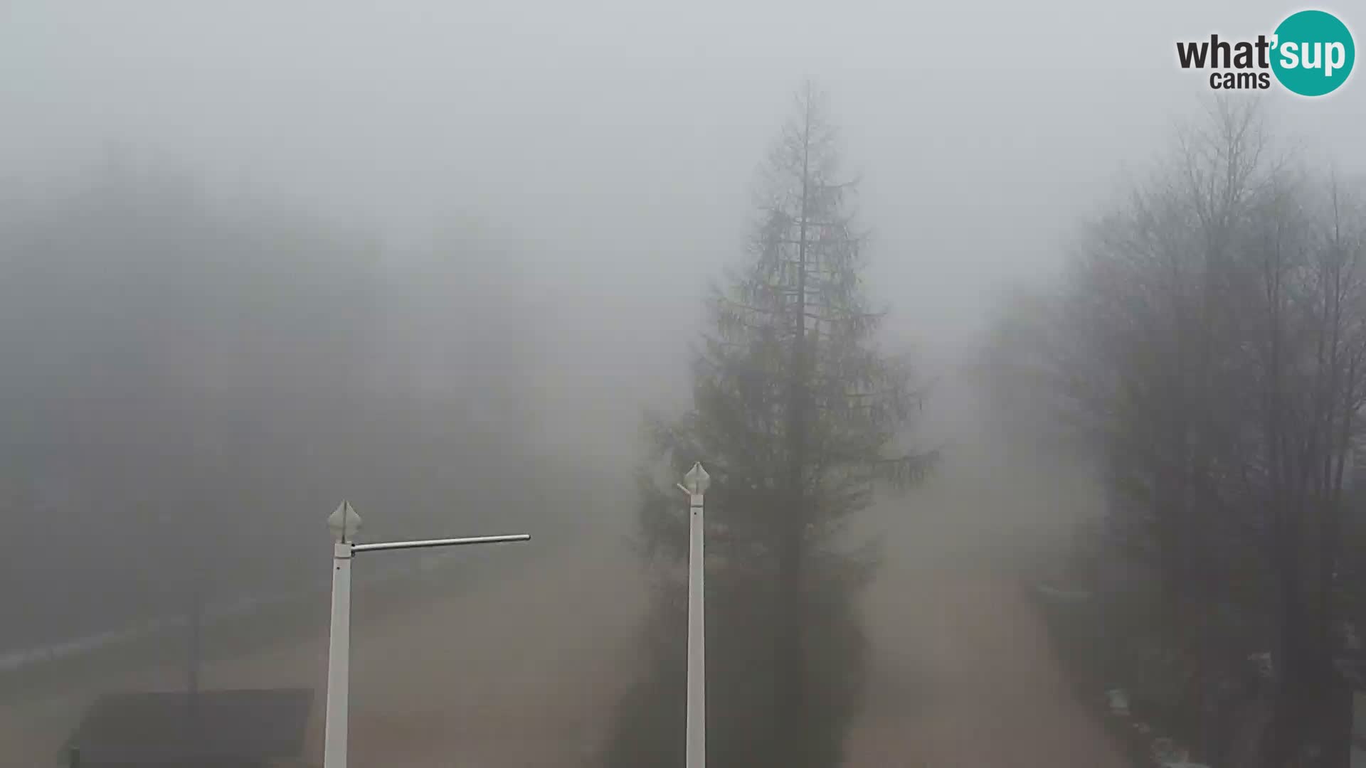 Live cam Station ski Vogel