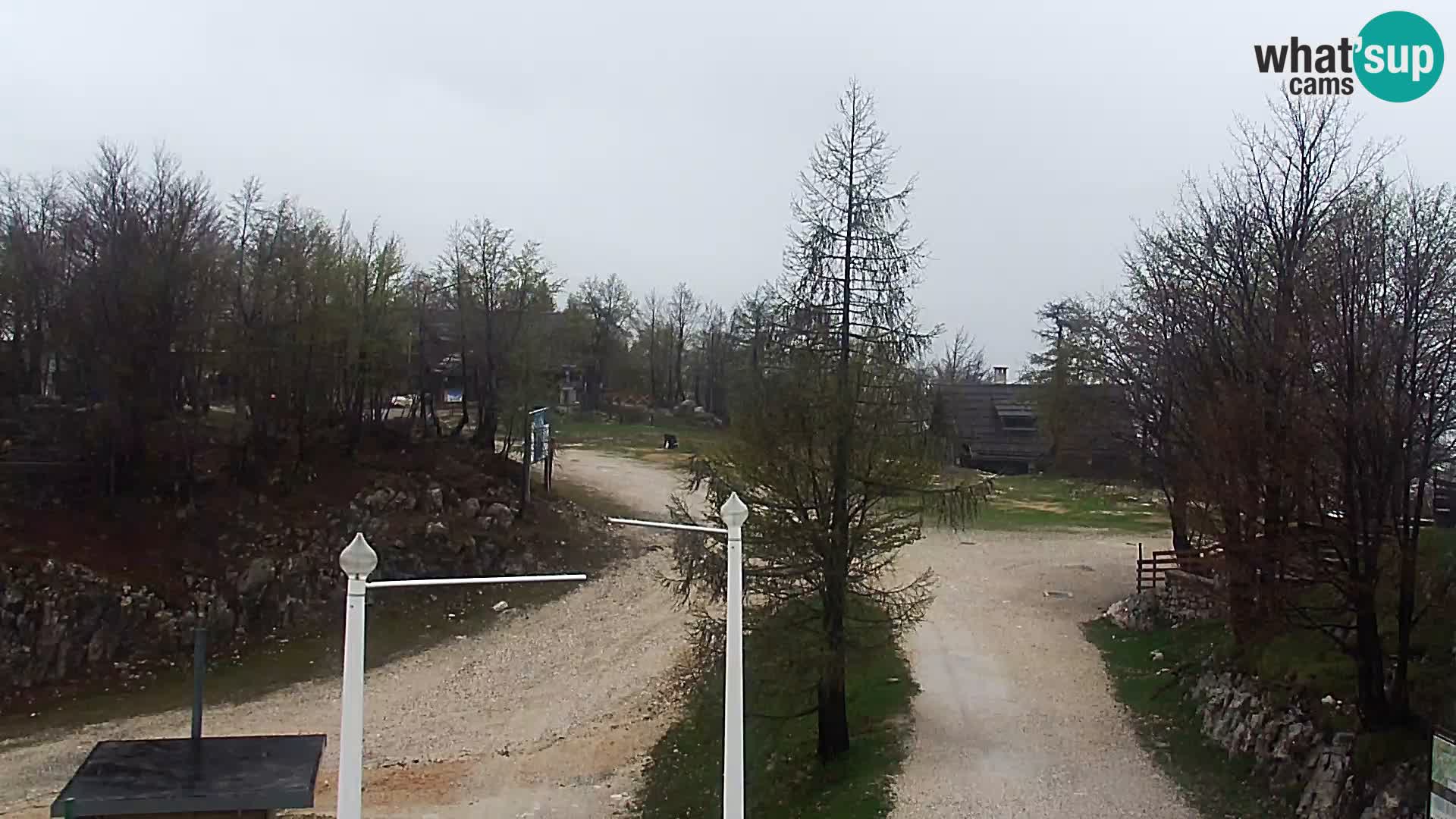 Spletna kamera Smučišče Kamera v zivo Vogel – postaja nihalke