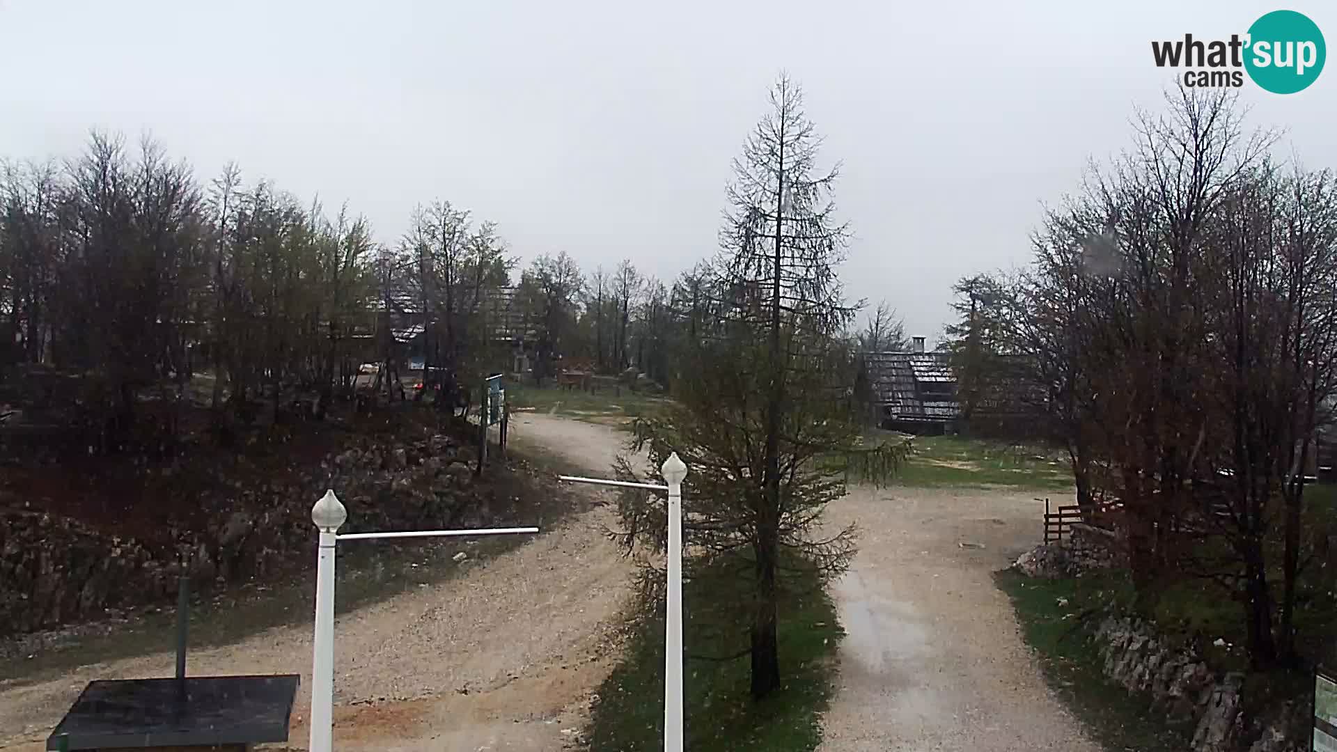 Webcam Stazione sciistica Vogel
