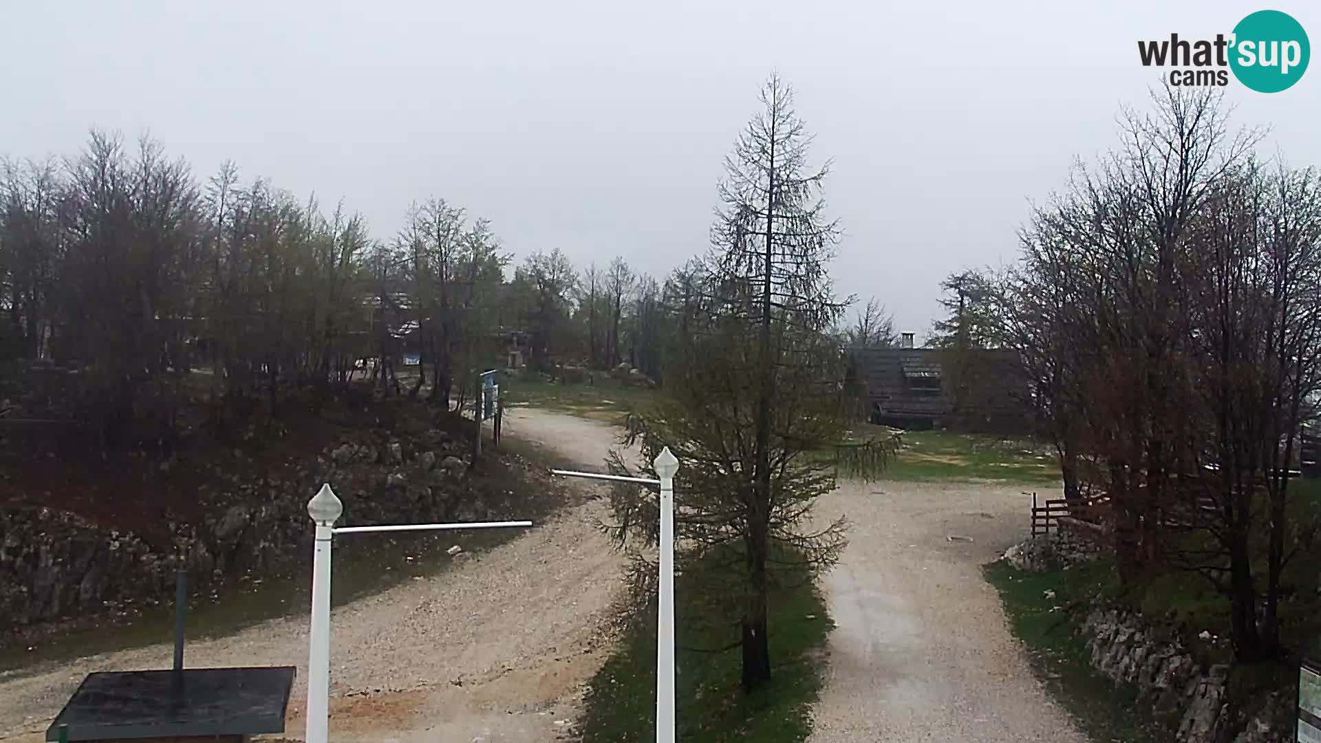 Spletna kamera Smučišče Kamera v zivo Vogel – postaja nihalke