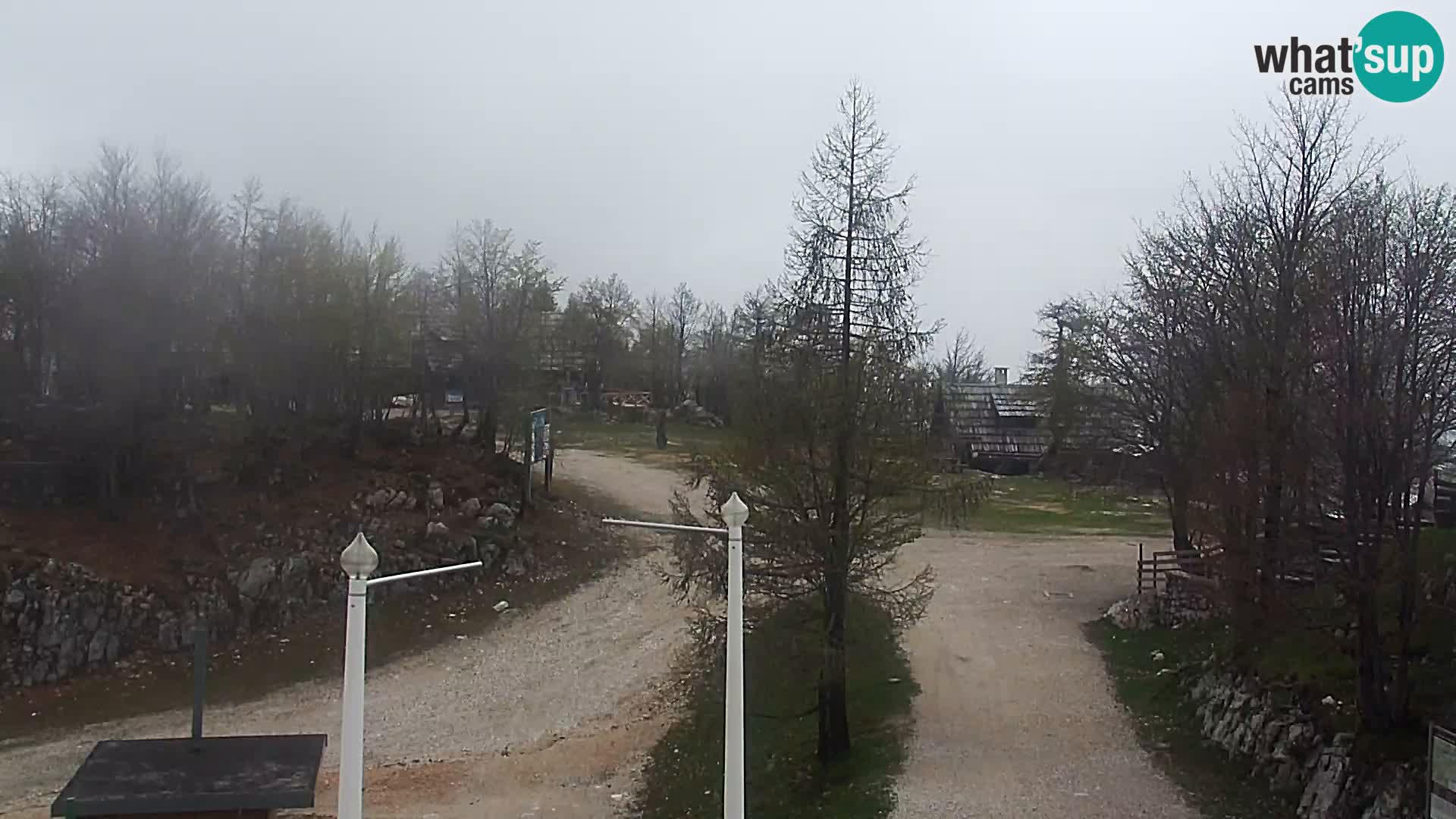 Live cam Station ski Vogel