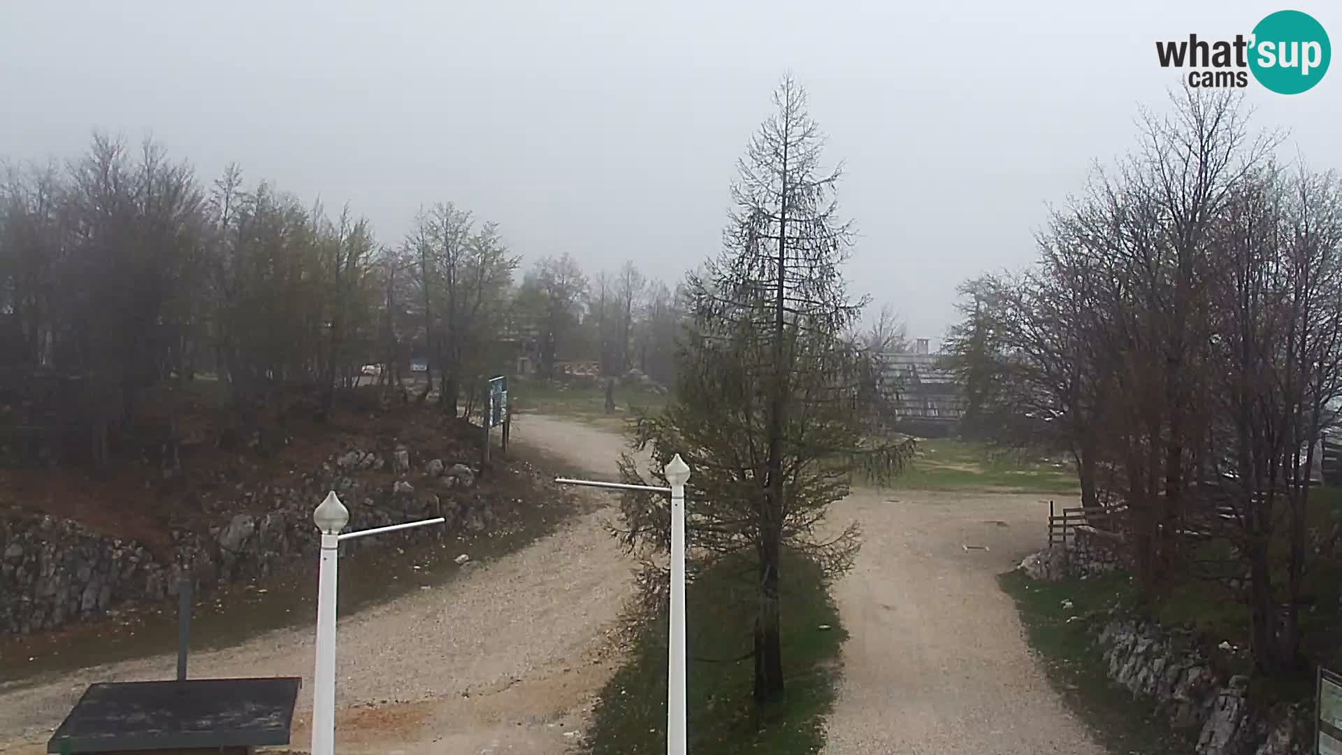 Live cam Station ski Vogel
