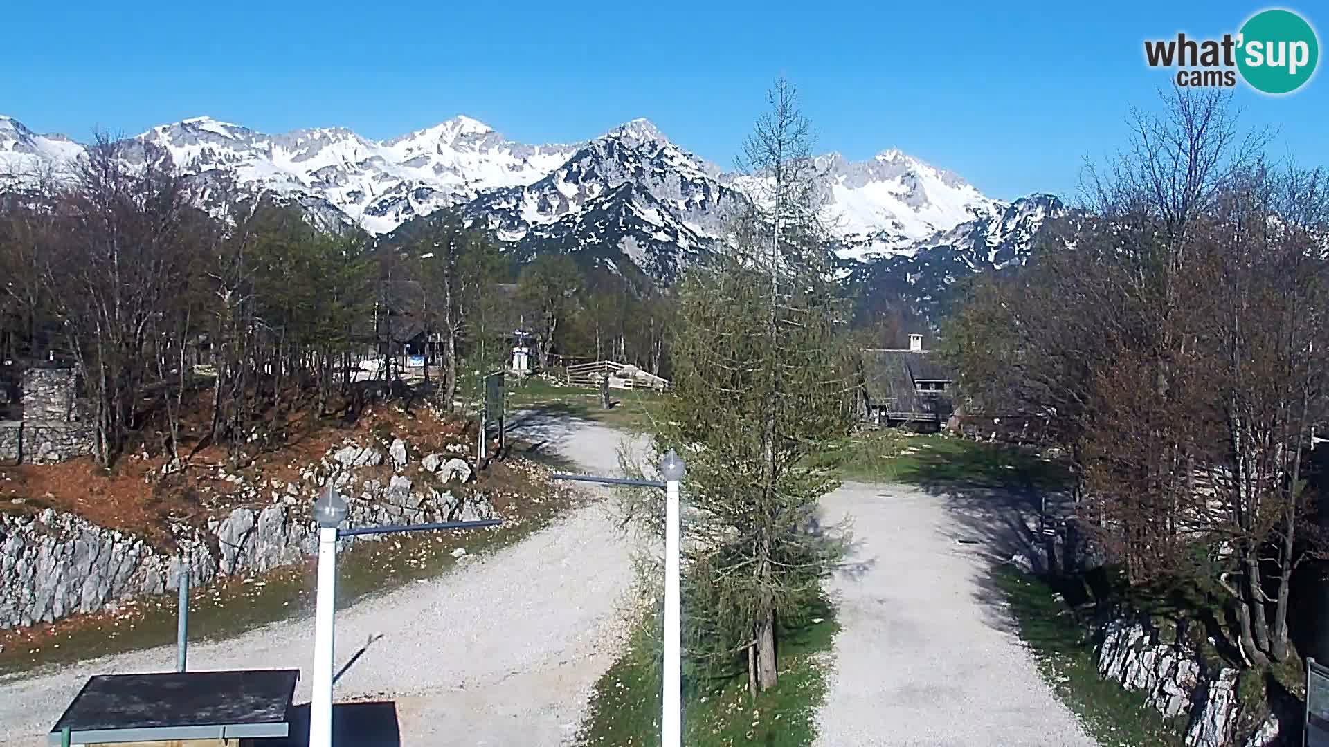 Webcam Ski resort Vogel
