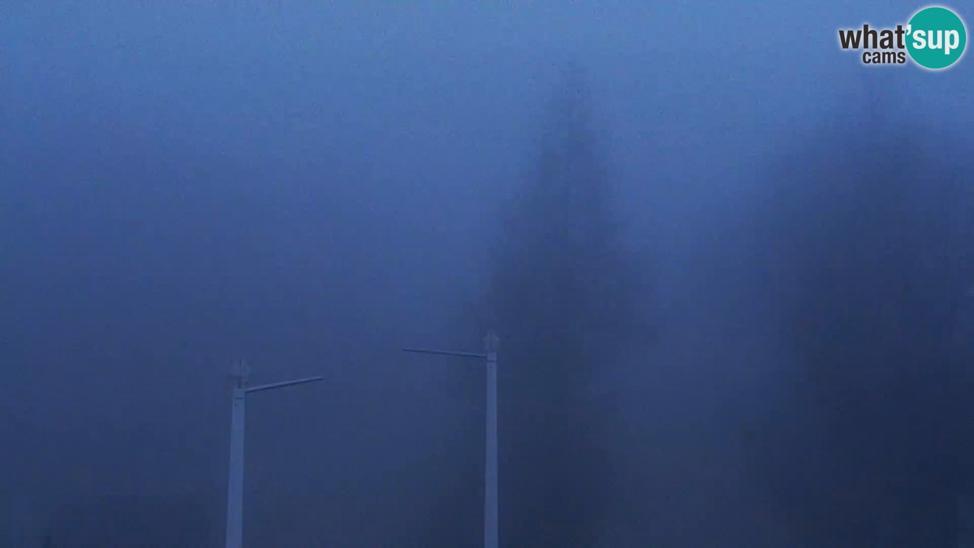 Webcam Skigebiet Vogel