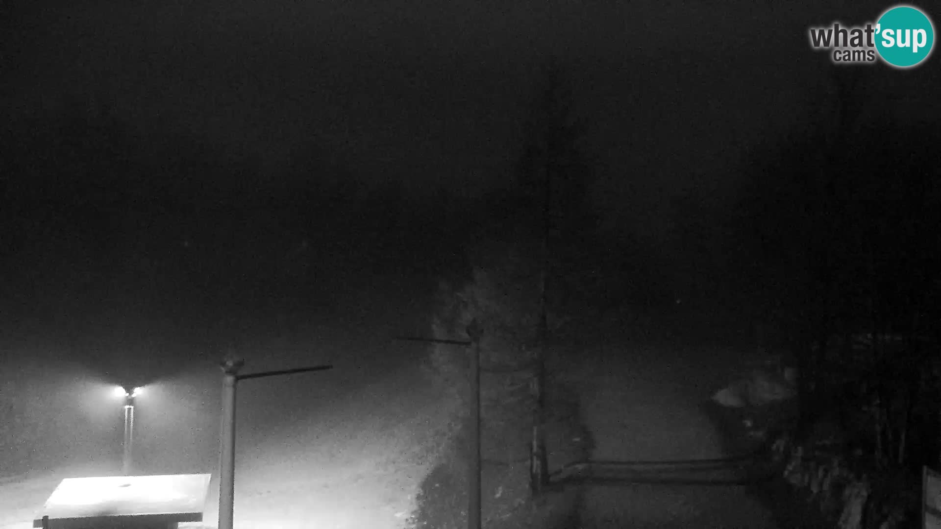 Live cam Station ski Vogel