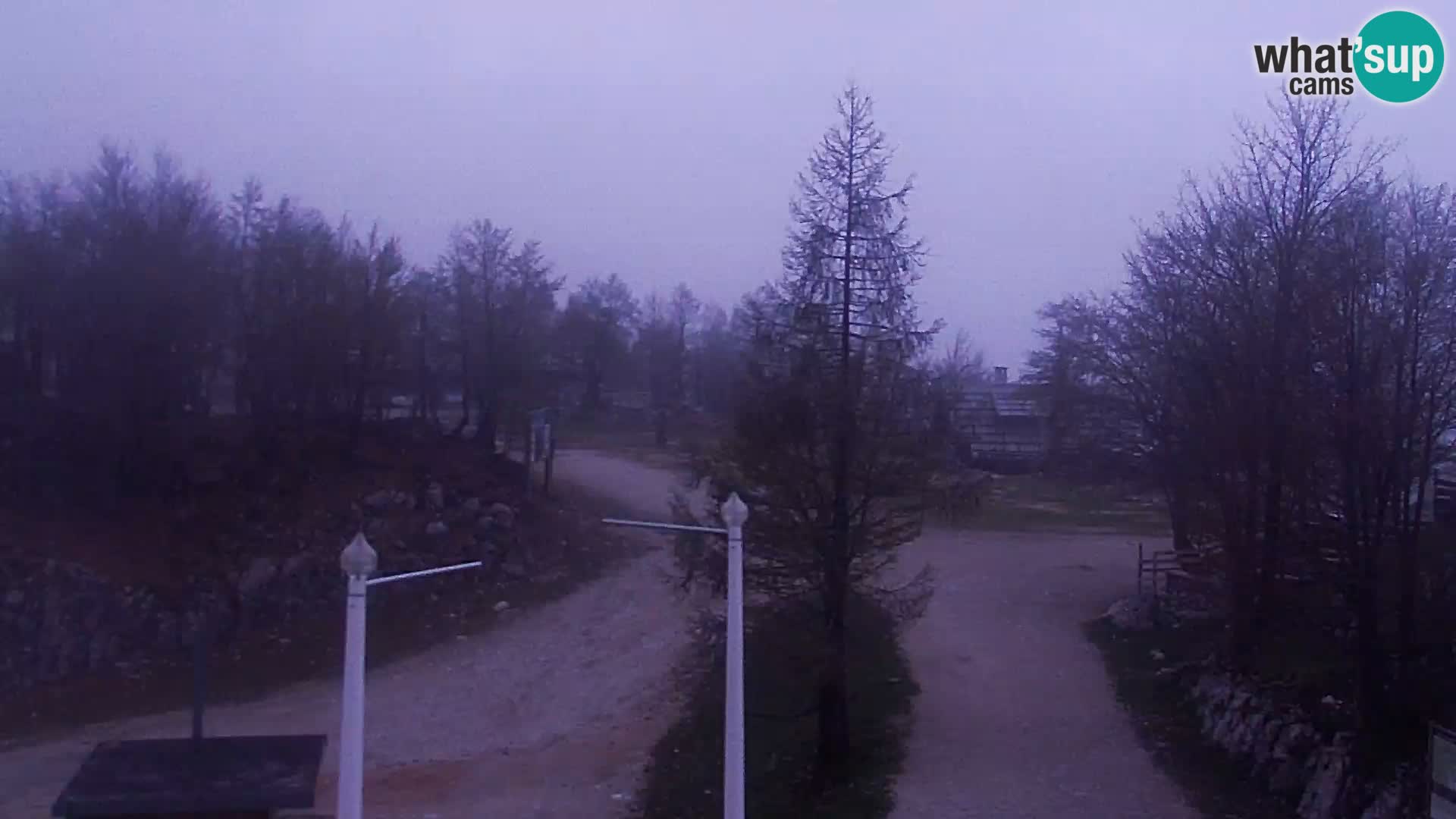 Webcam Skigebiet Vogel