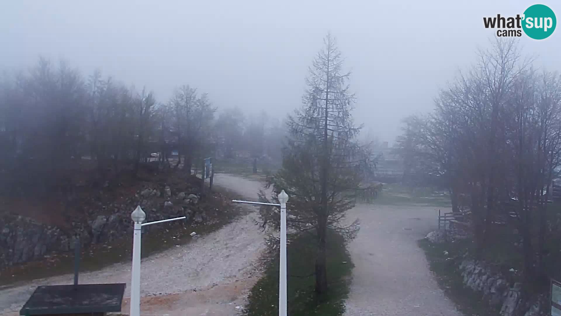 Webcam Skigebiet Vogel