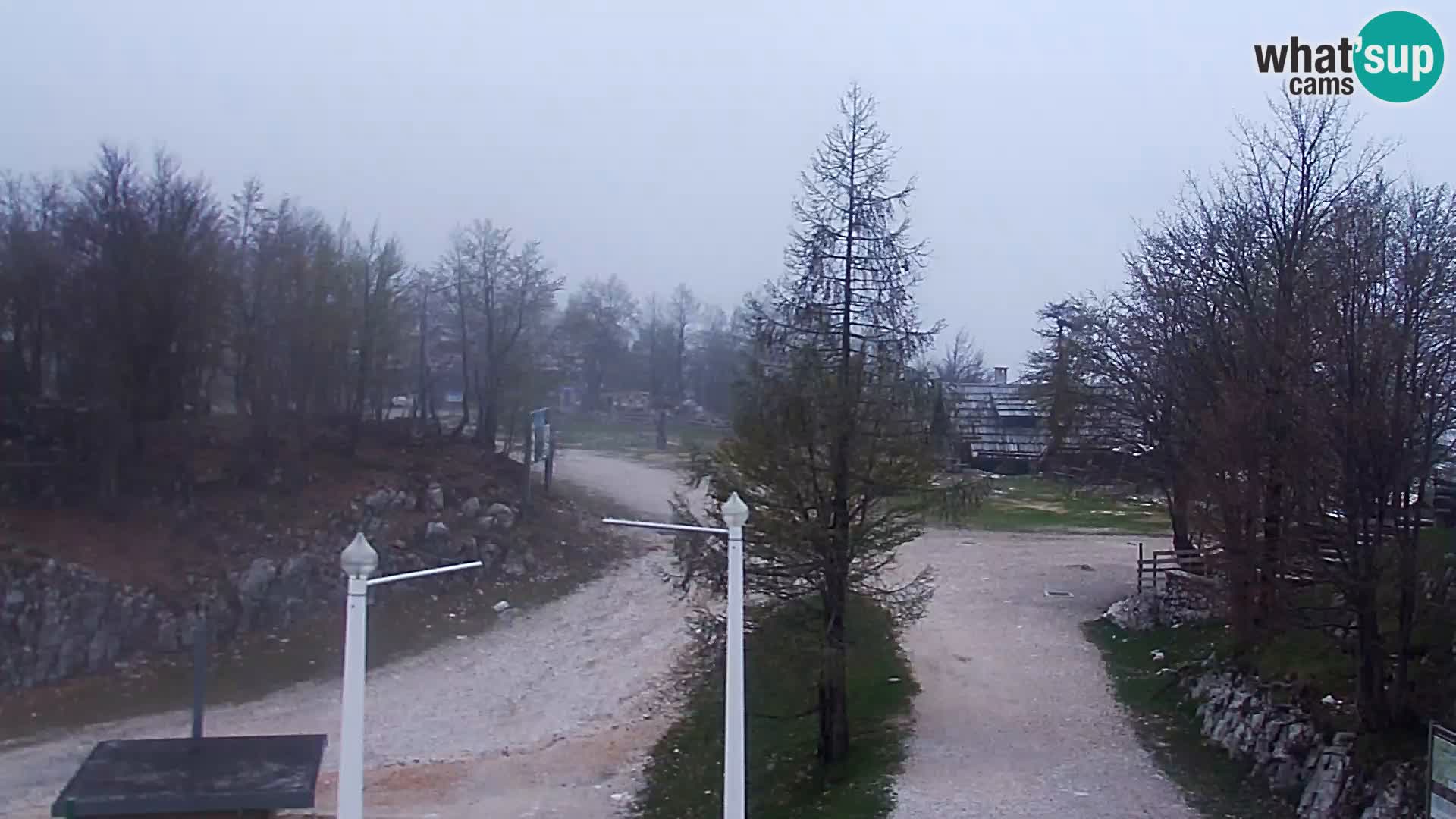 Live cam Station ski Vogel
