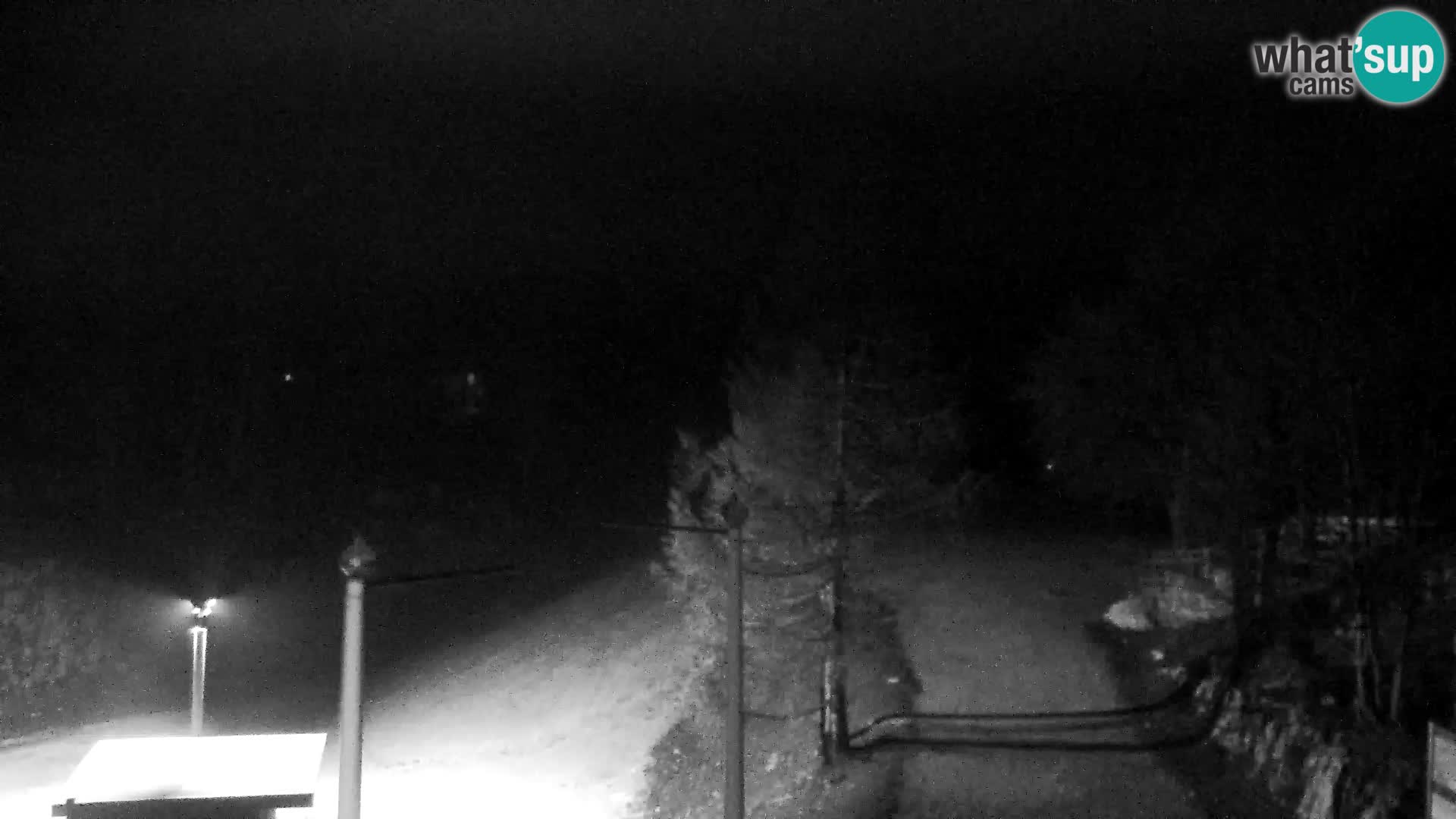 Webcam Skigebiet Vogel