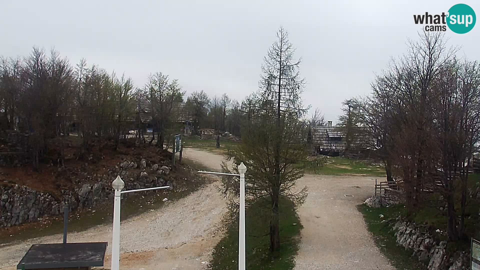 Webcam Stazione sciistica Vogel