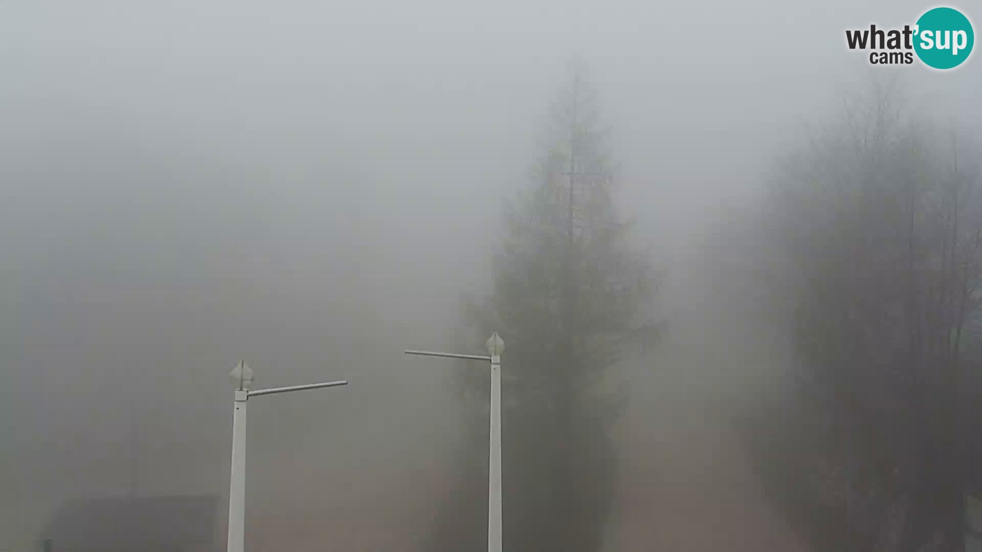 Webcam Skigebiet Vogel