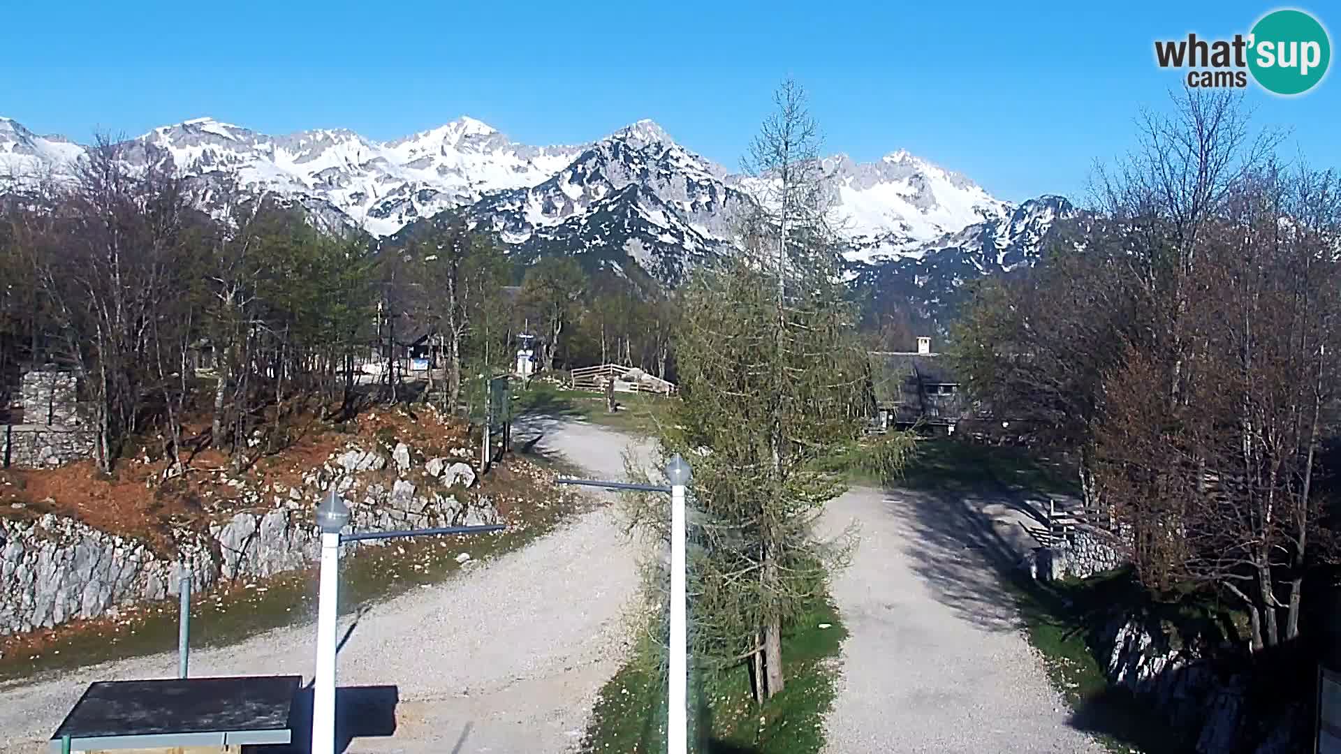 Webcam Ski resort Vogel