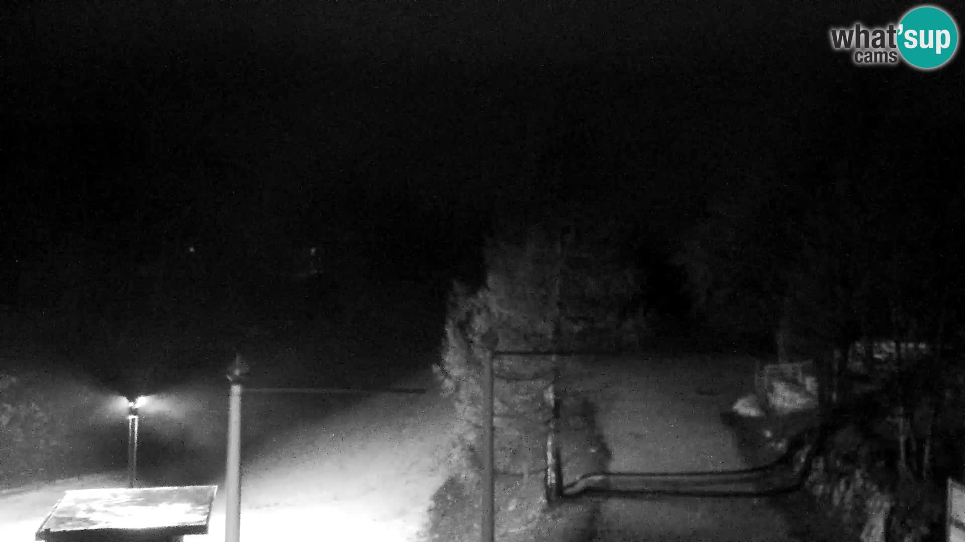 Live cam Station ski Vogel