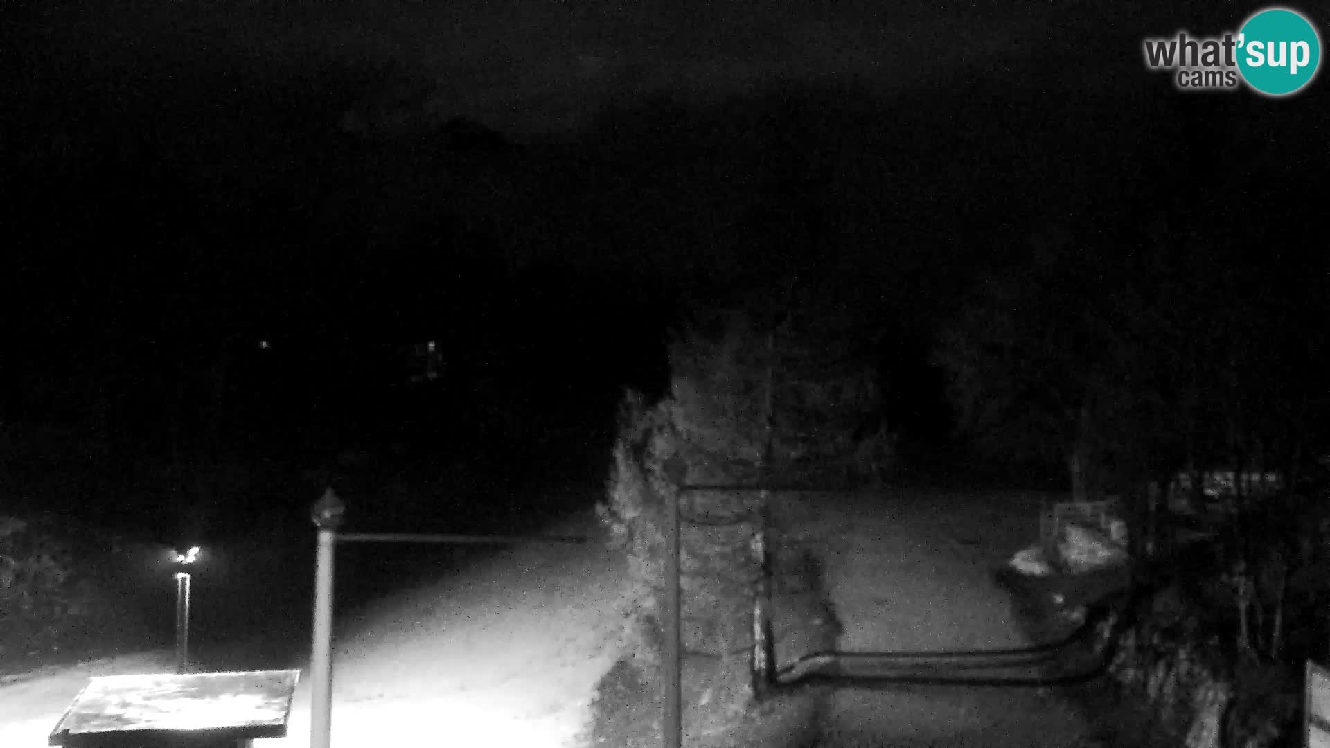 Live cam Station ski Vogel