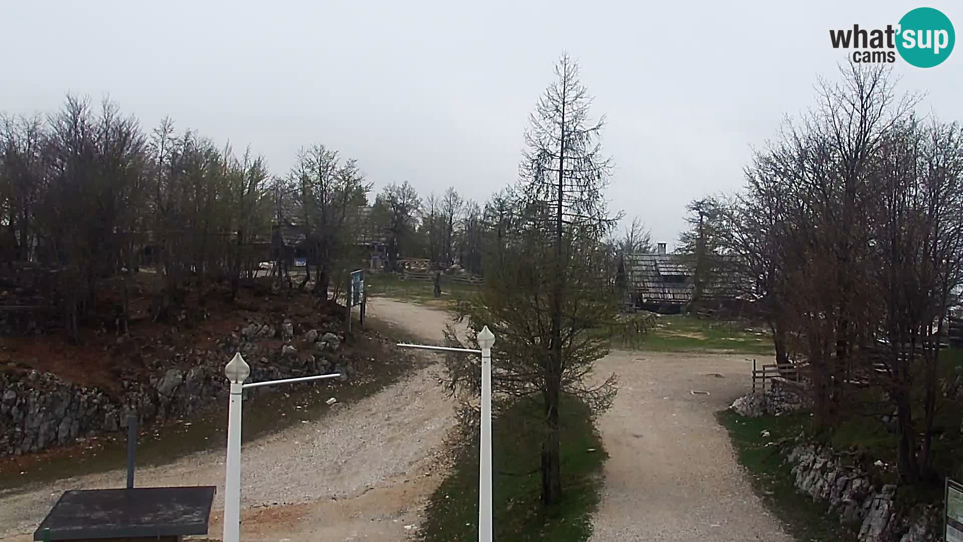 Webcam Skigebiet Vogel