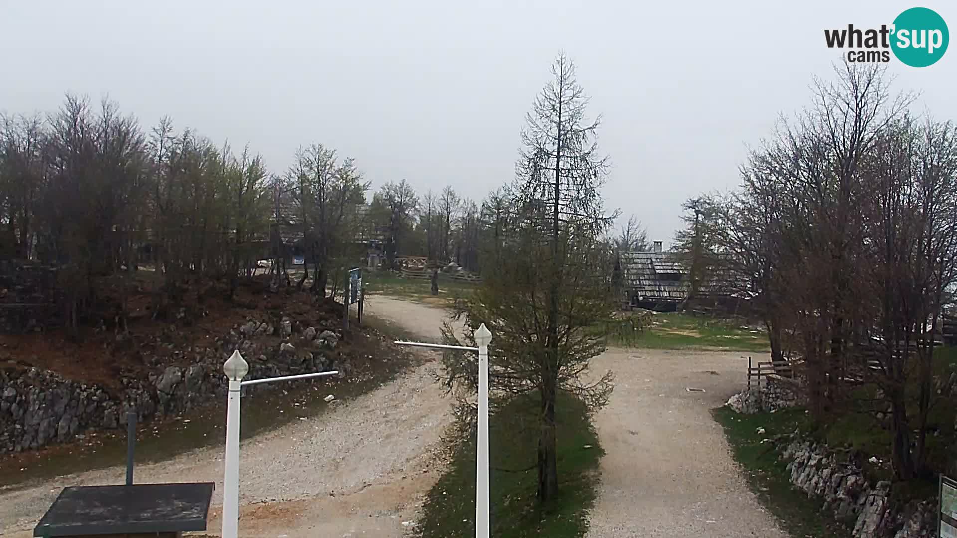 Webcam Skigebiet Vogel