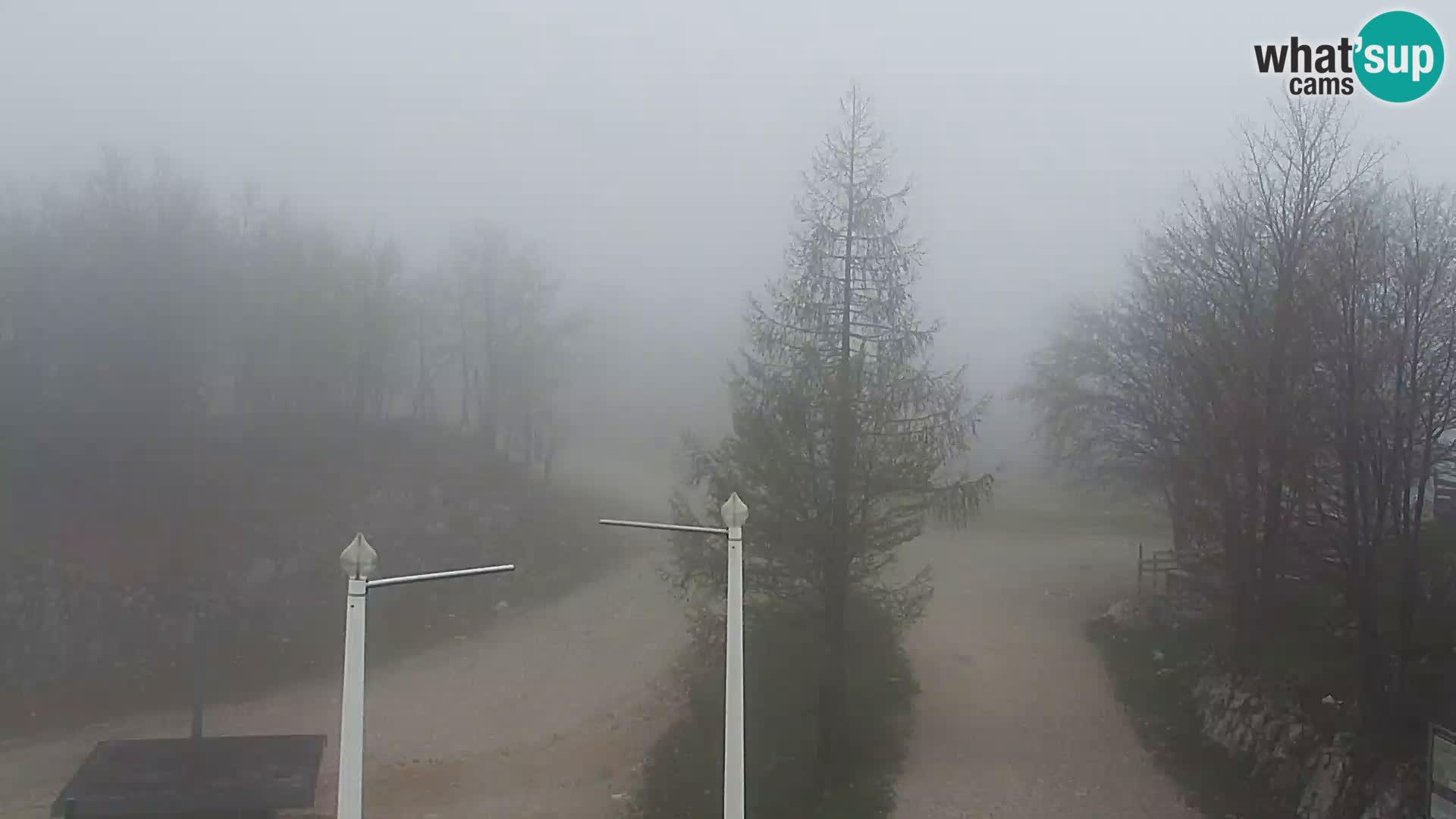 Webcam Ski resort Vogel