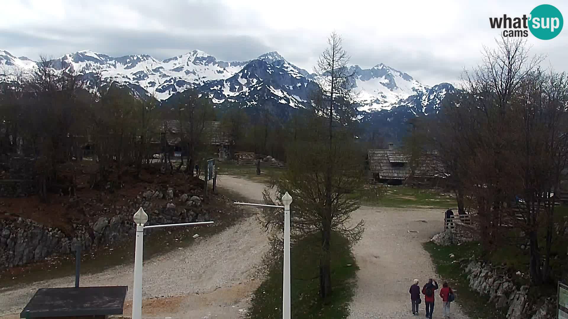 Webcam Skigebiet Vogel