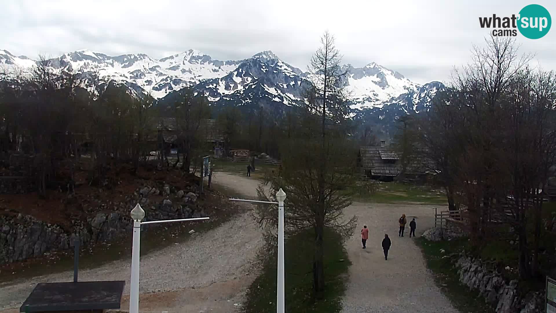 Webcam Skigebiet Vogel
