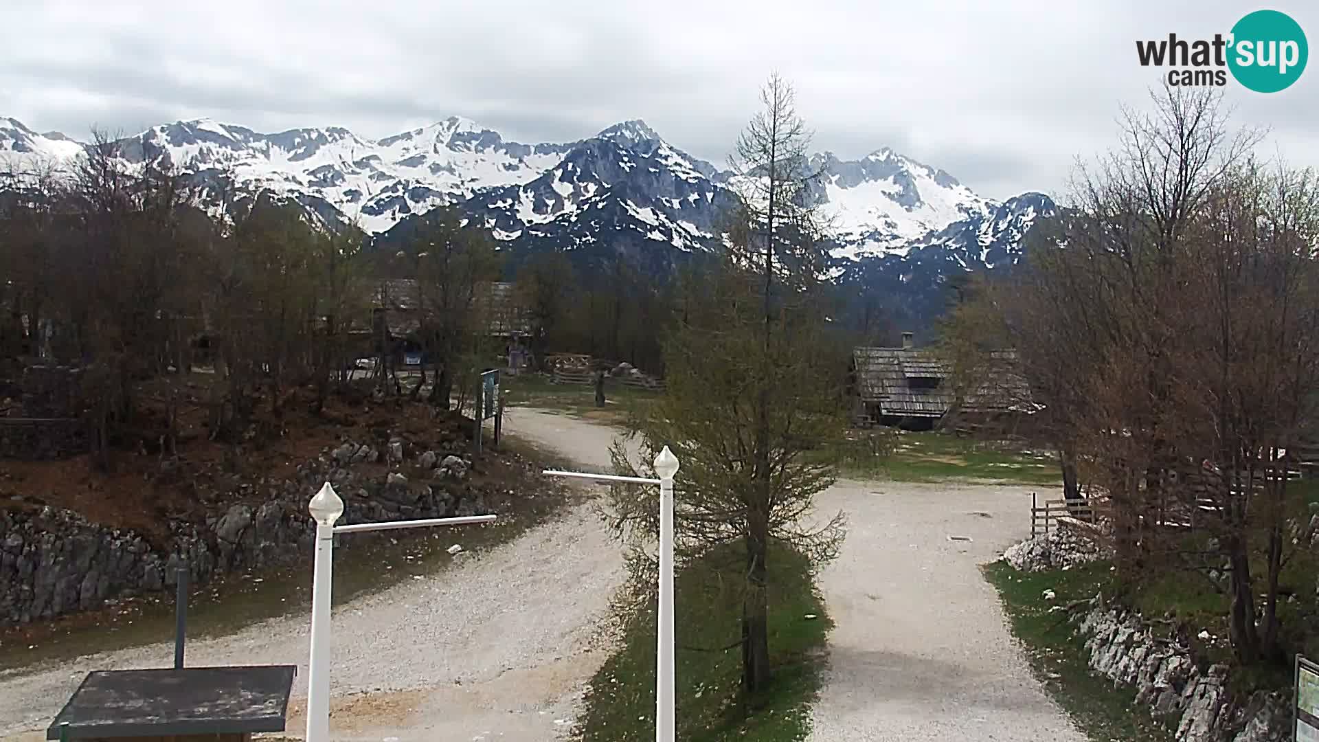 Webcam Ski resort Vogel