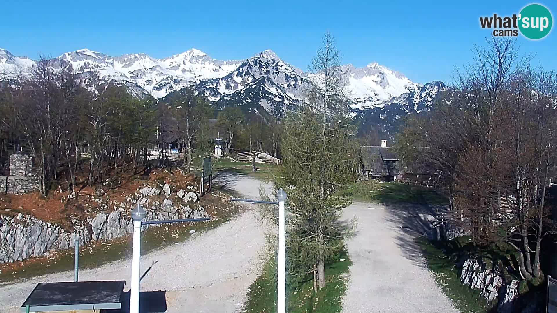 Webcam Ski resort Vogel