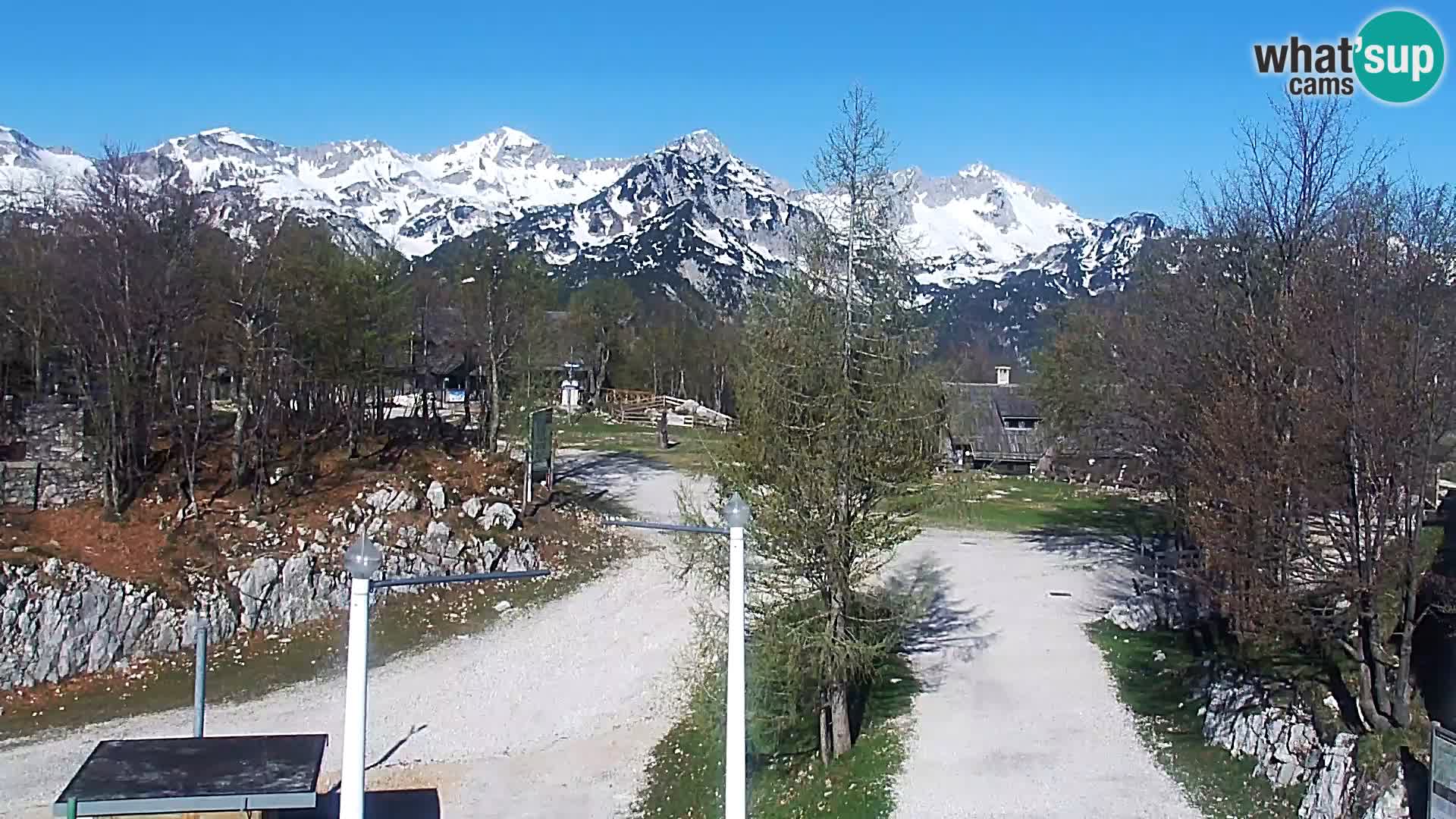 Live cam Station ski Vogel