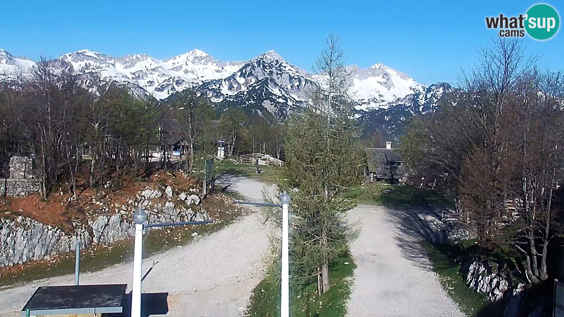 Live cam Station ski Vogel