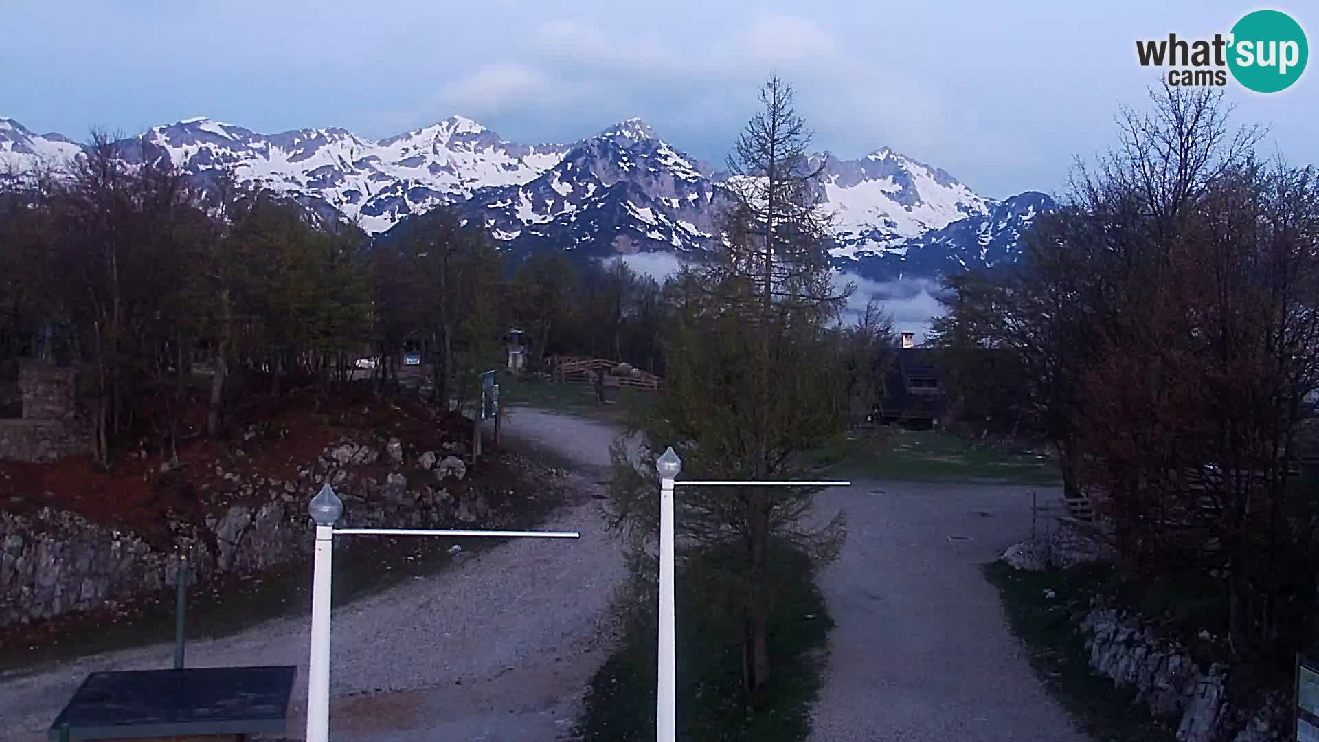 Webcam Skigebiet Vogel