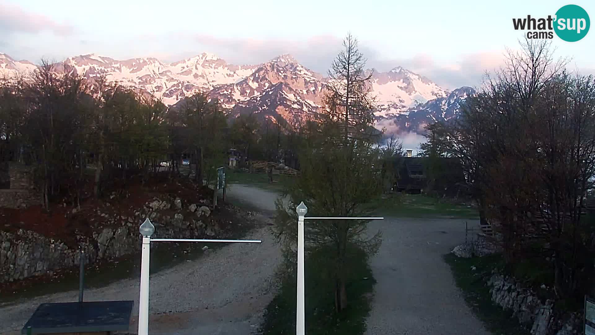 Webcam Stazione sciistica Vogel