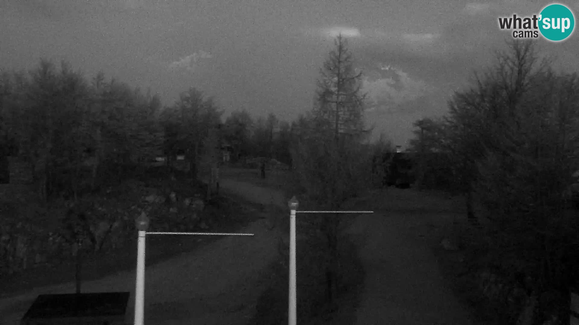 Webcam Skigebiet Vogel