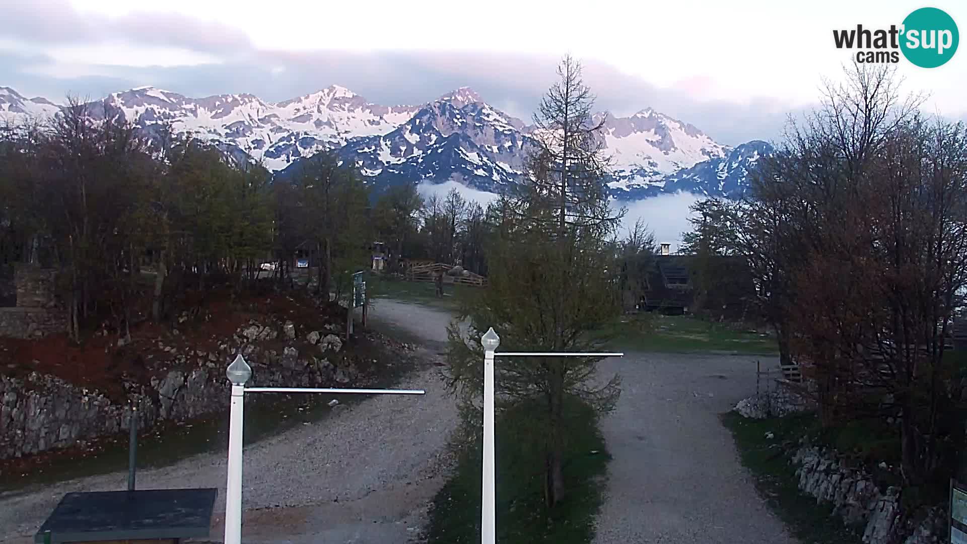 Webcam Skigebiet Vogel