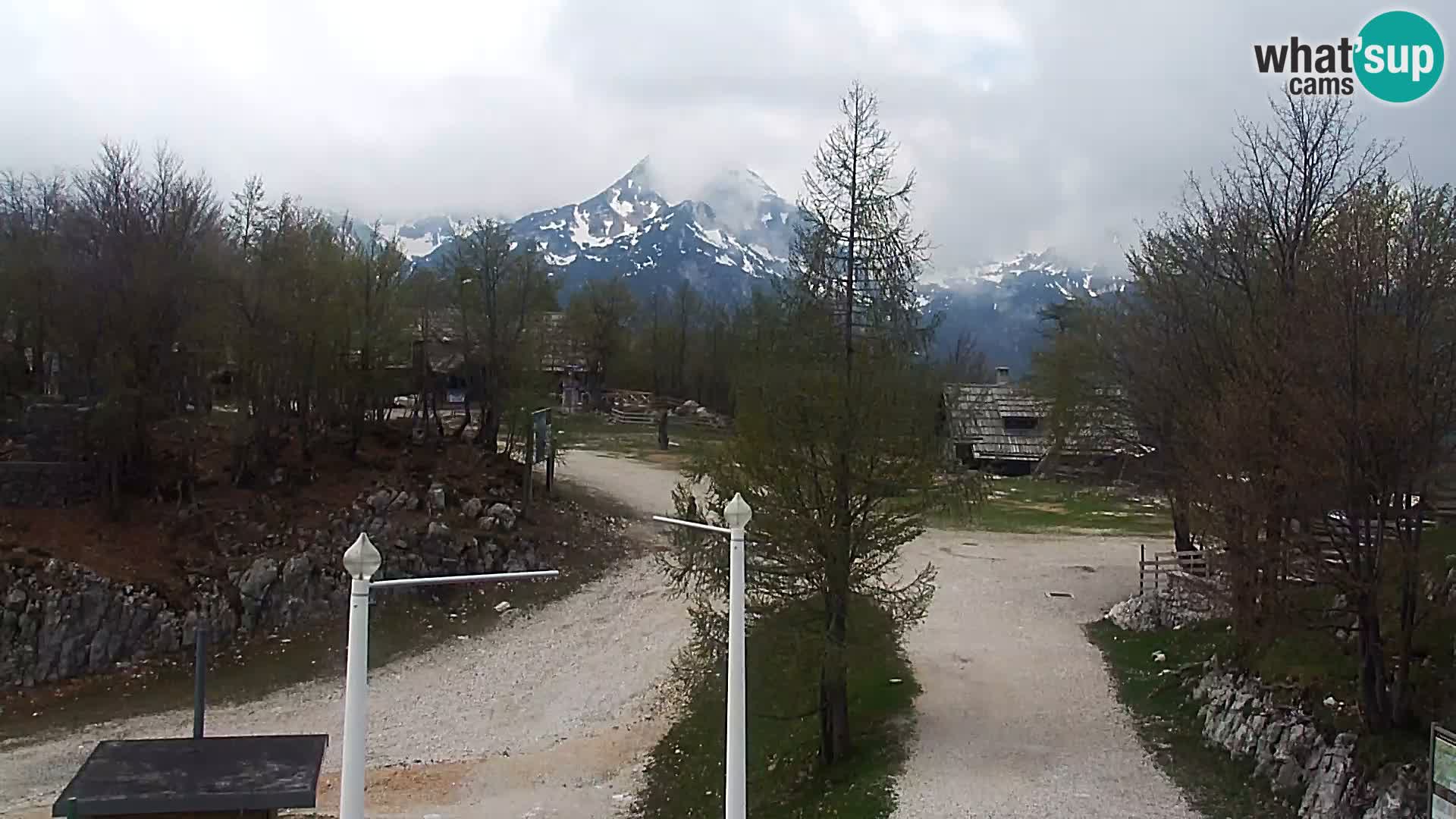 Webcam Skigebiet Vogel