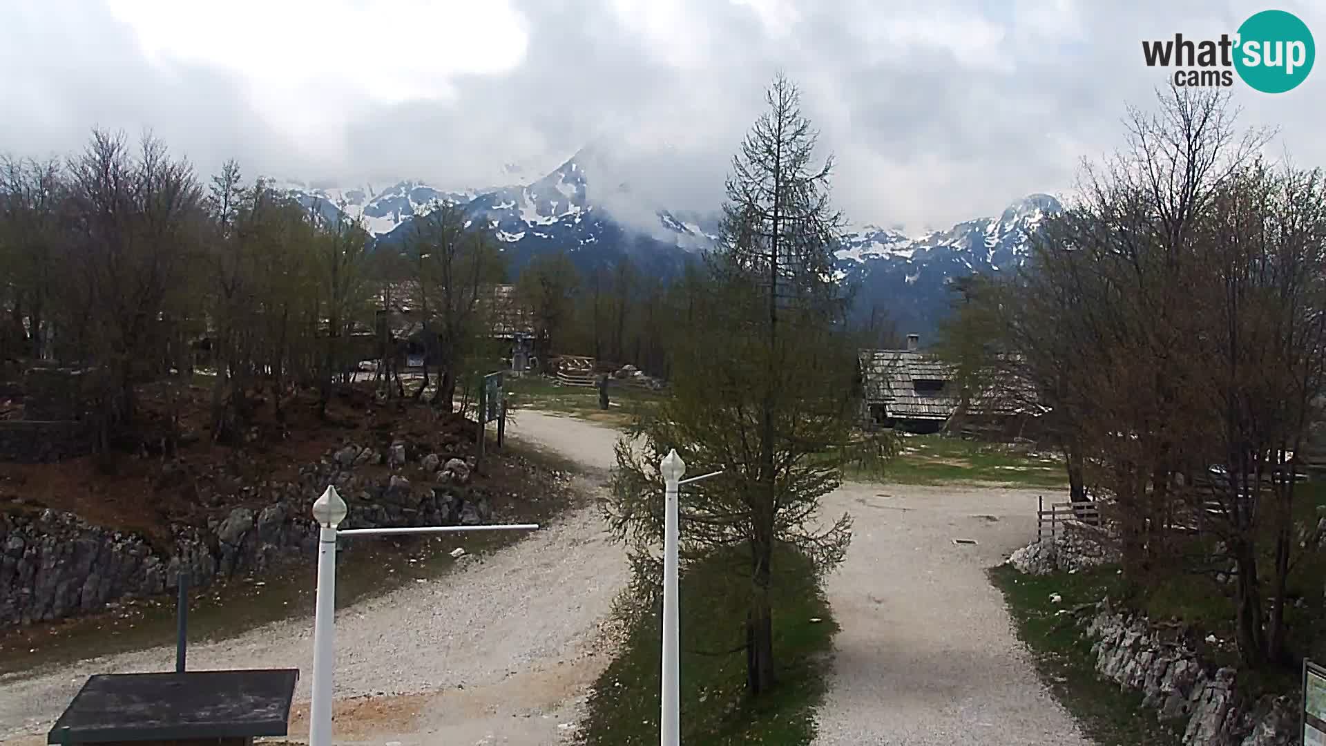 Live cam Station ski Vogel