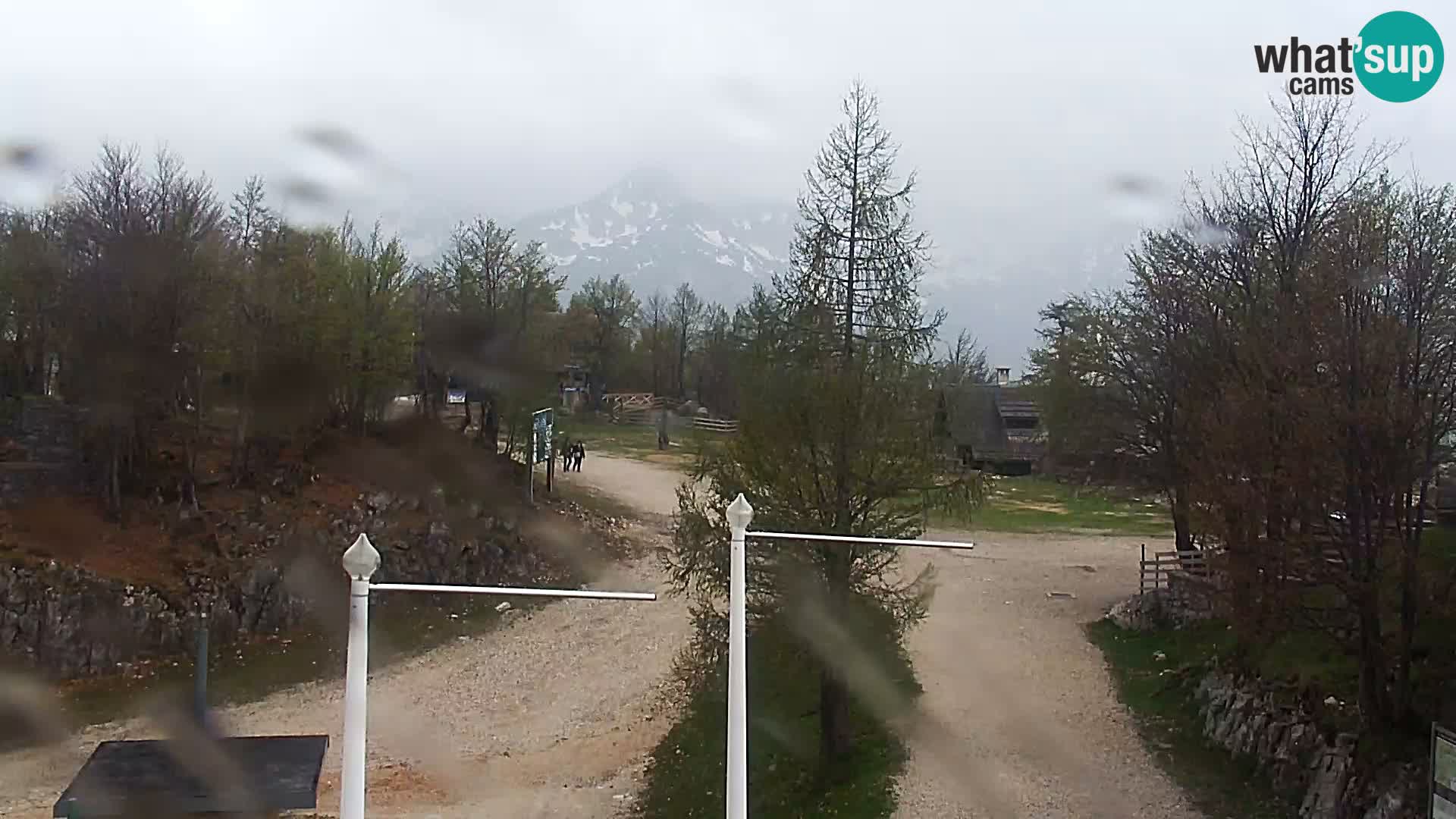 Webcam Stazione sciistica Vogel