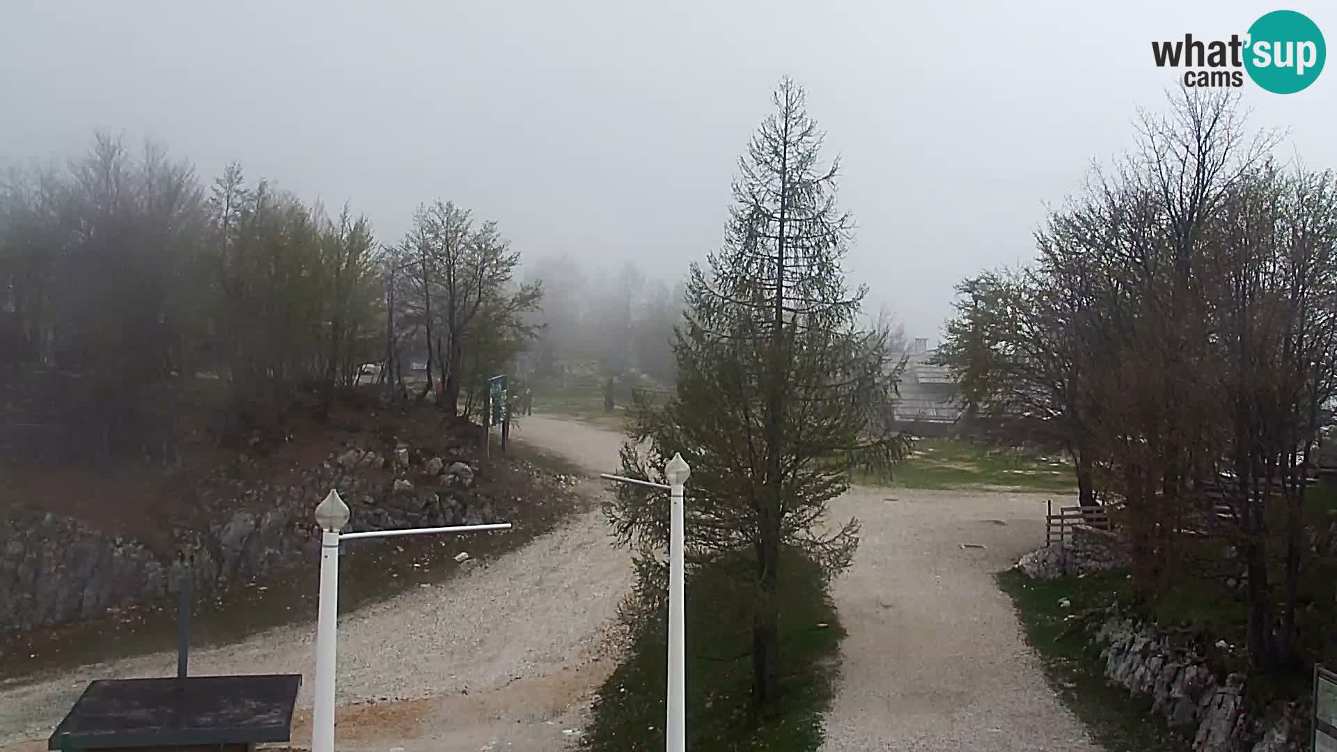 Webcam Ski resort Vogel
