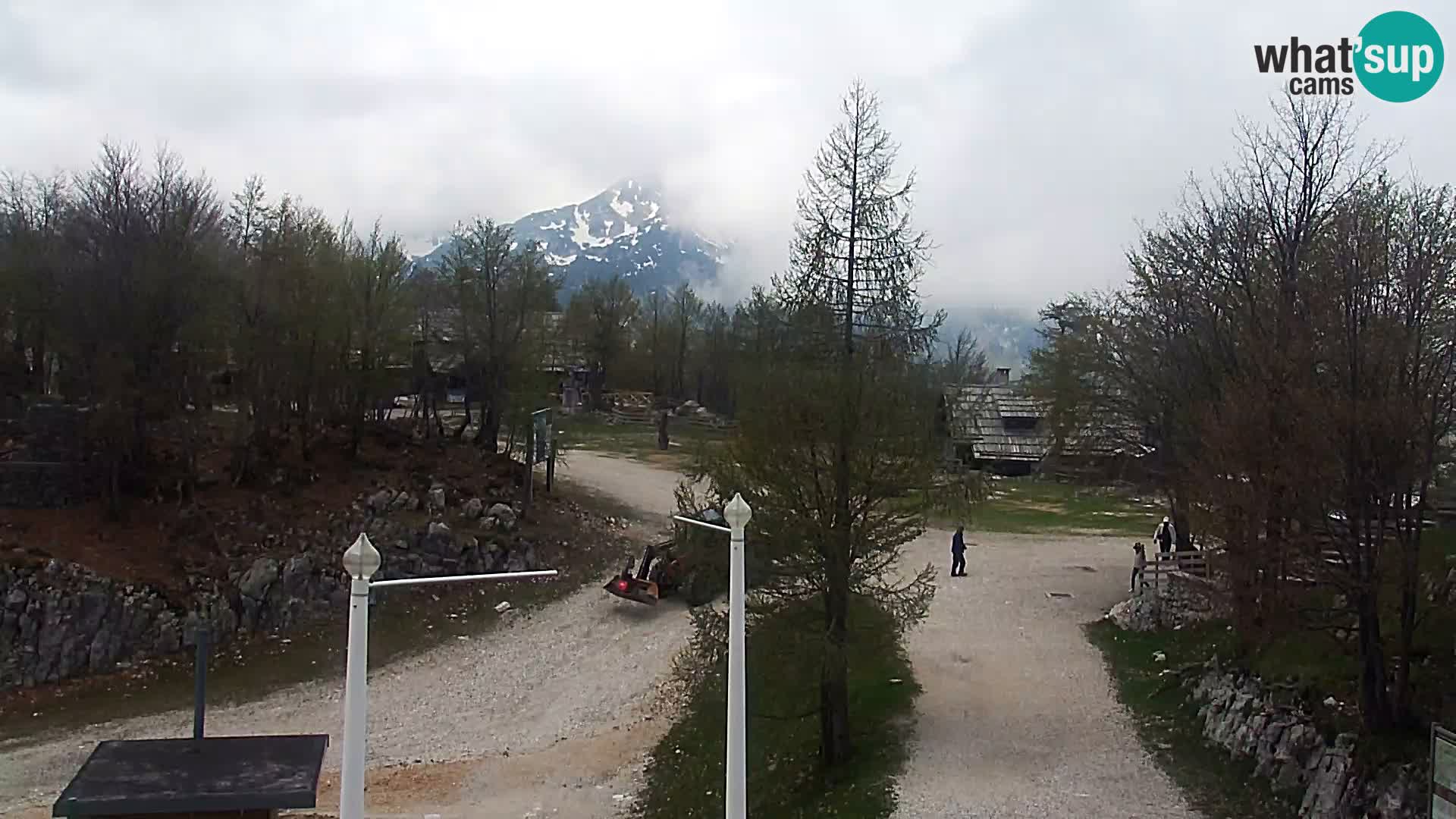 Webcam Ski resort Vogel