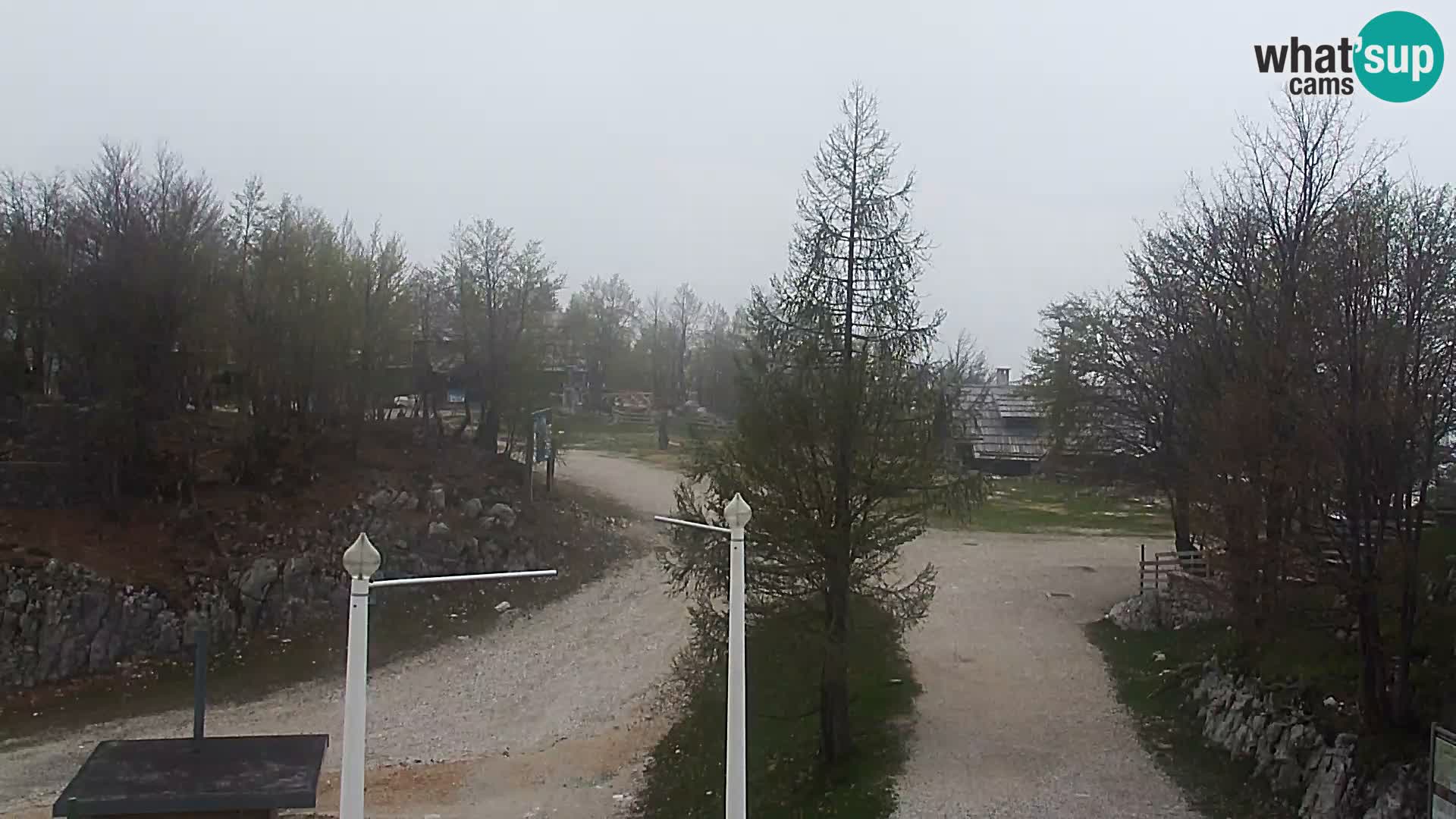 Webcam Skigebiet Vogel