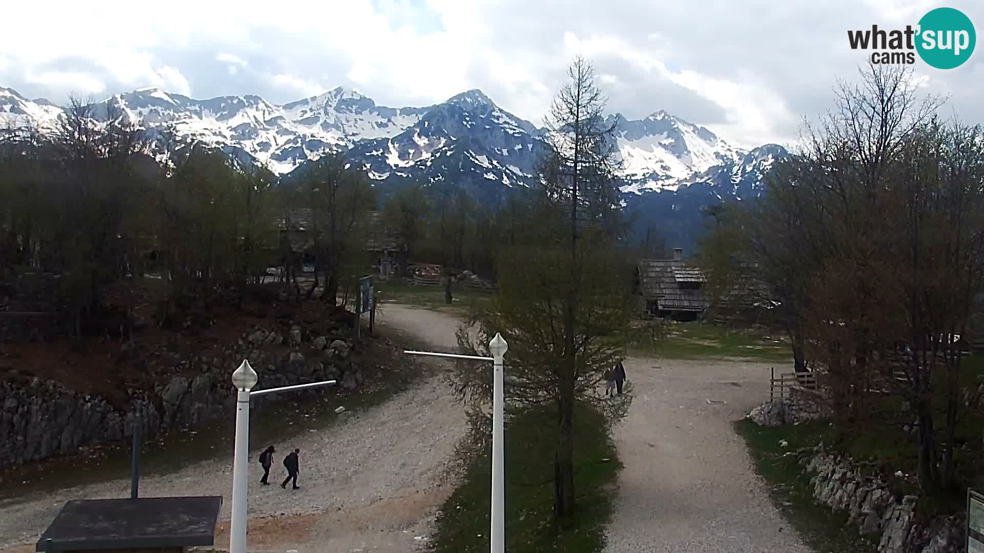 Webcam Ski resort Vogel