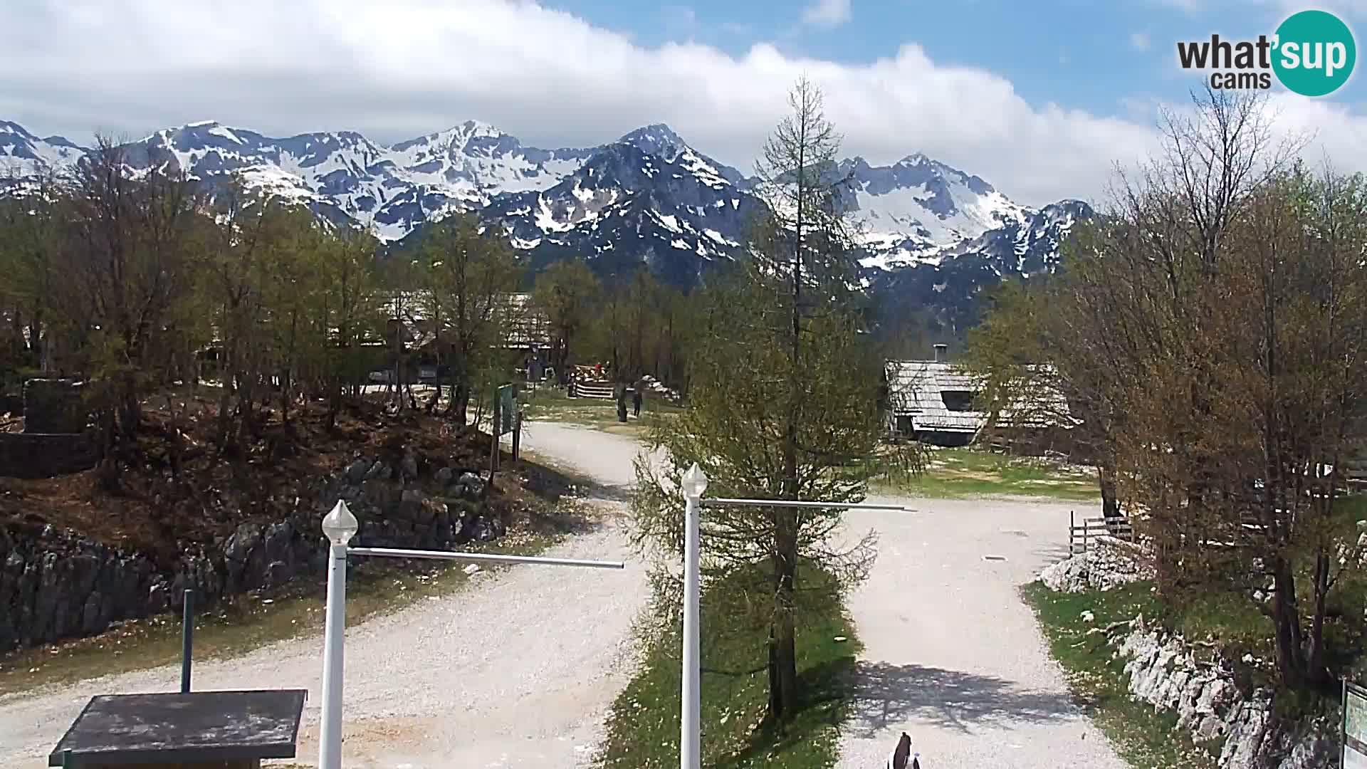 Webcam Stazione sciistica Vogel