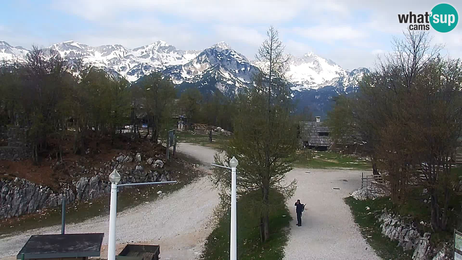 Webcam Ski resort Vogel