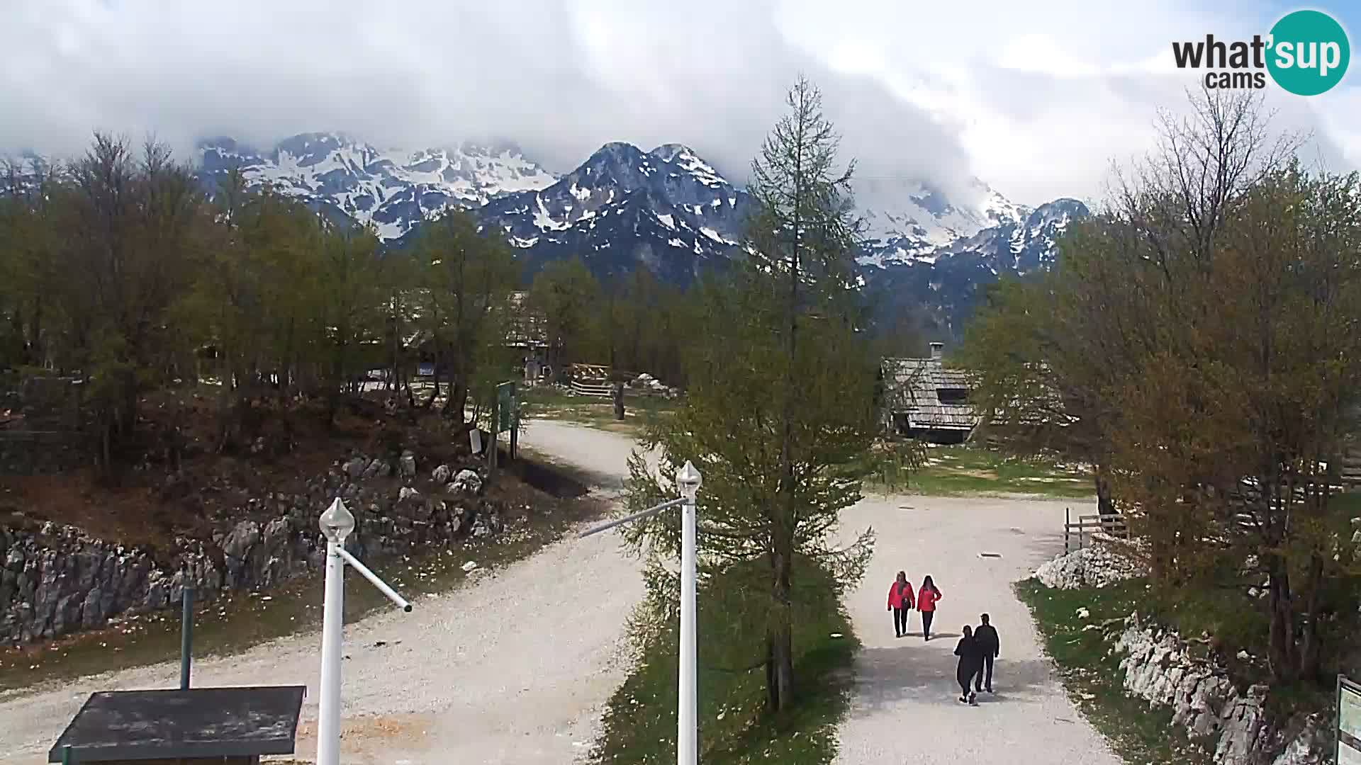 Webcam Skigebiet Vogel