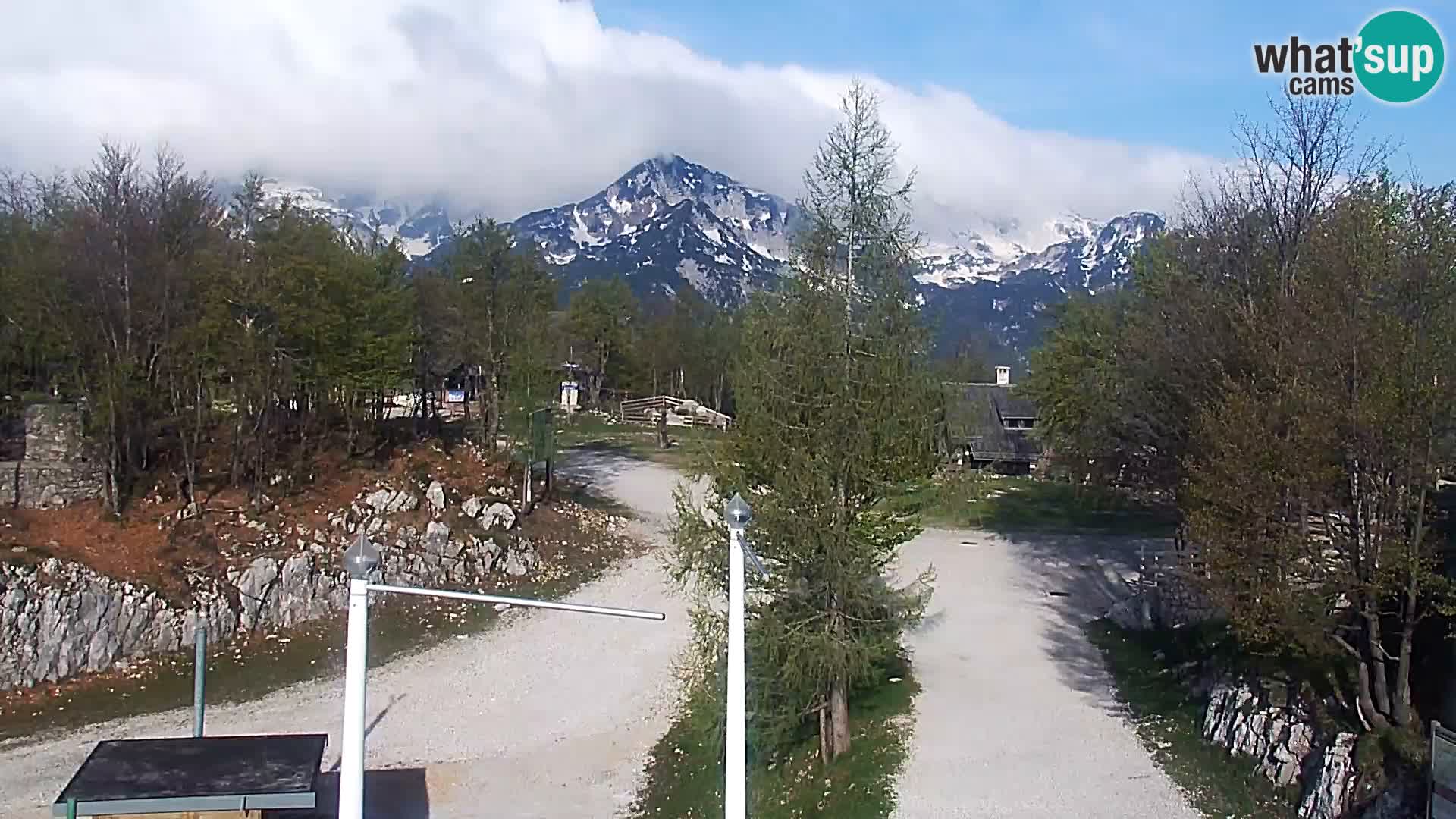 Webcam Ski resort Vogel