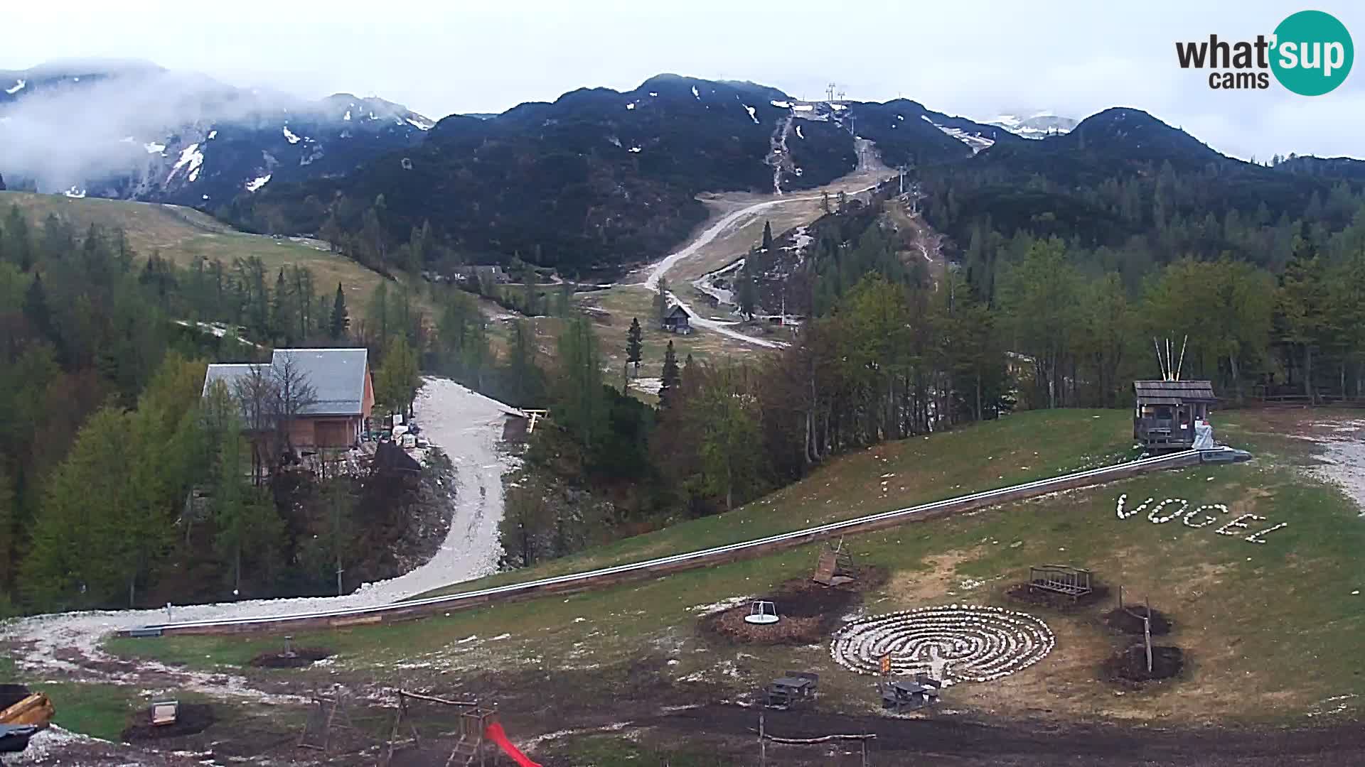 Webcam Skigebiet Vogel