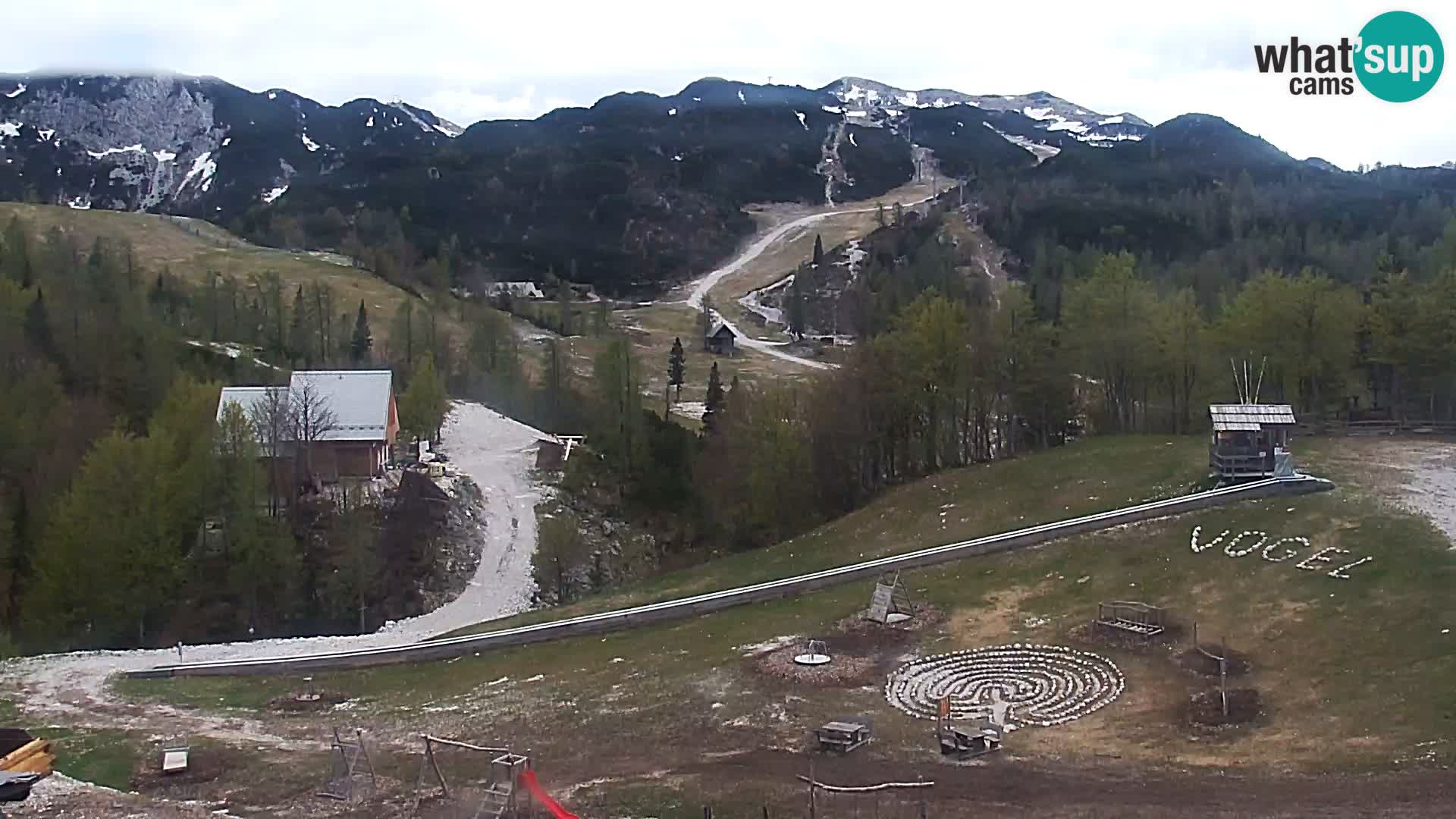 Webcam Skigebiet Vogel