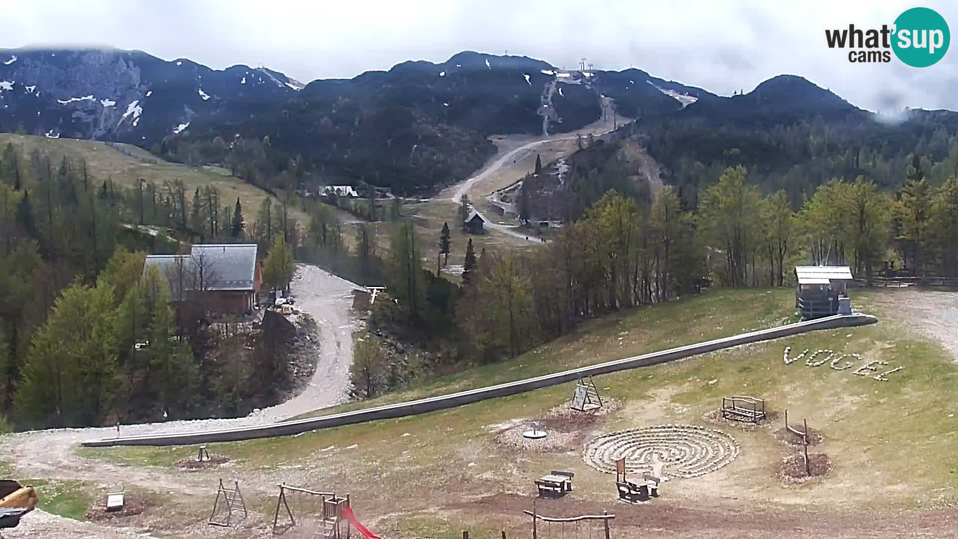 Webcam Skigebiet Vogel