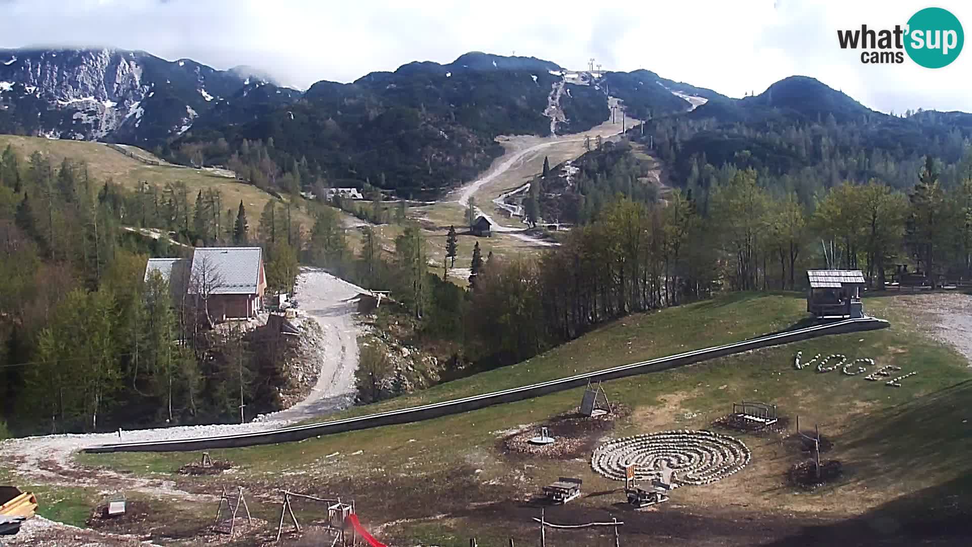 Webcam Stazione sciistica Vogel