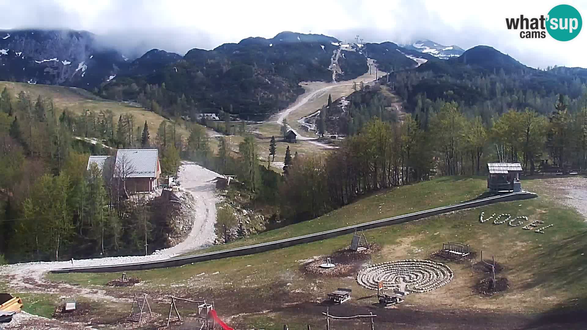 Webcam Stazione sciistica Vogel