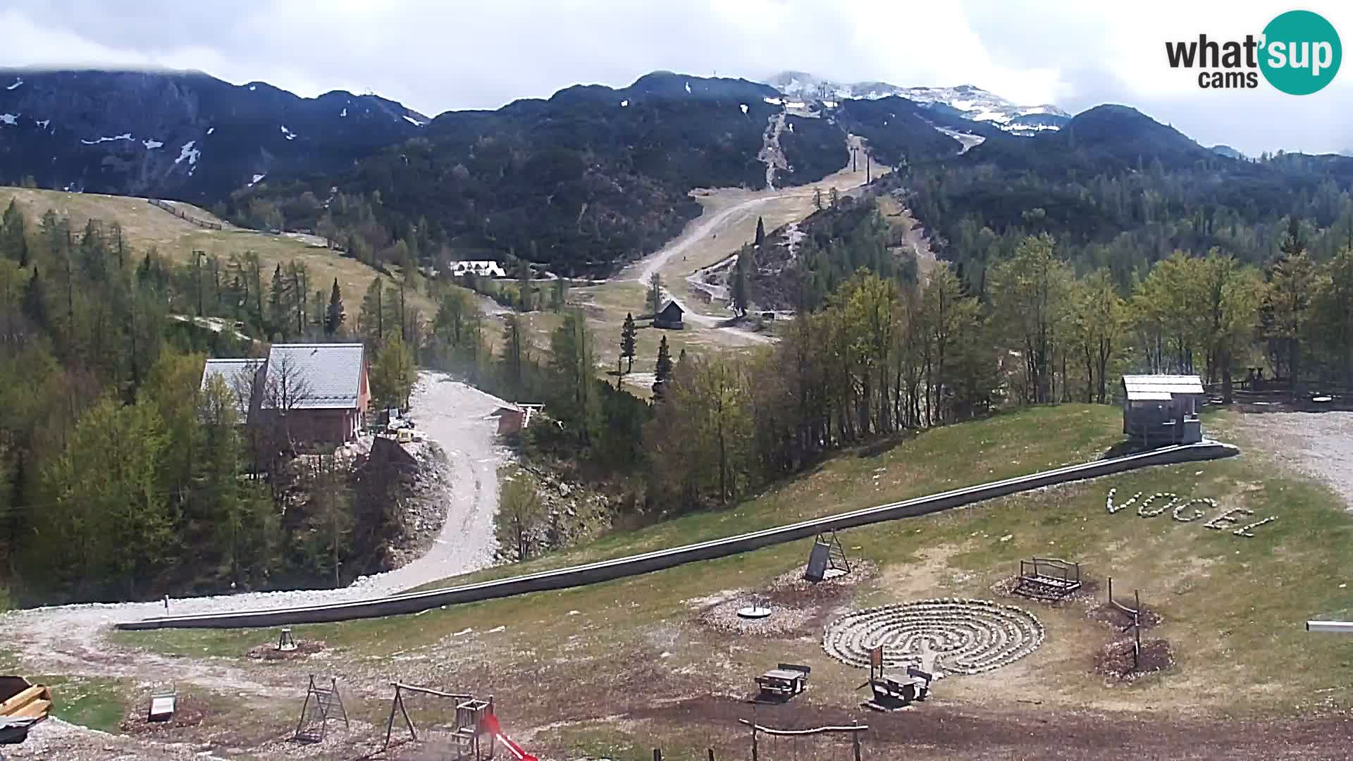 Webcam Skigebiet Vogel