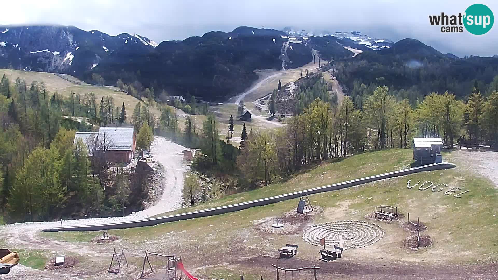Live cam Station ski Vogel