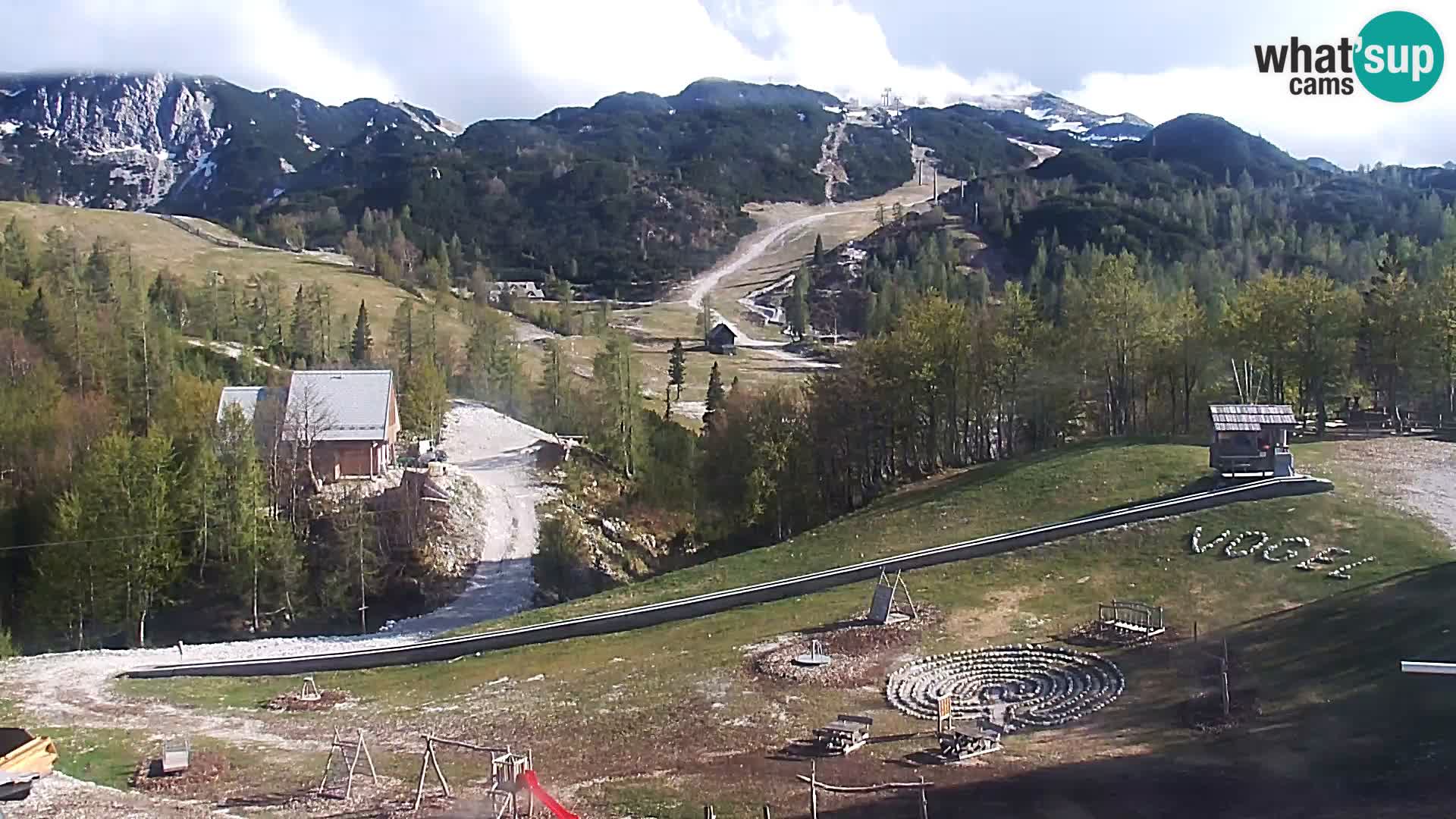 Webcam Skigebiet Vogel